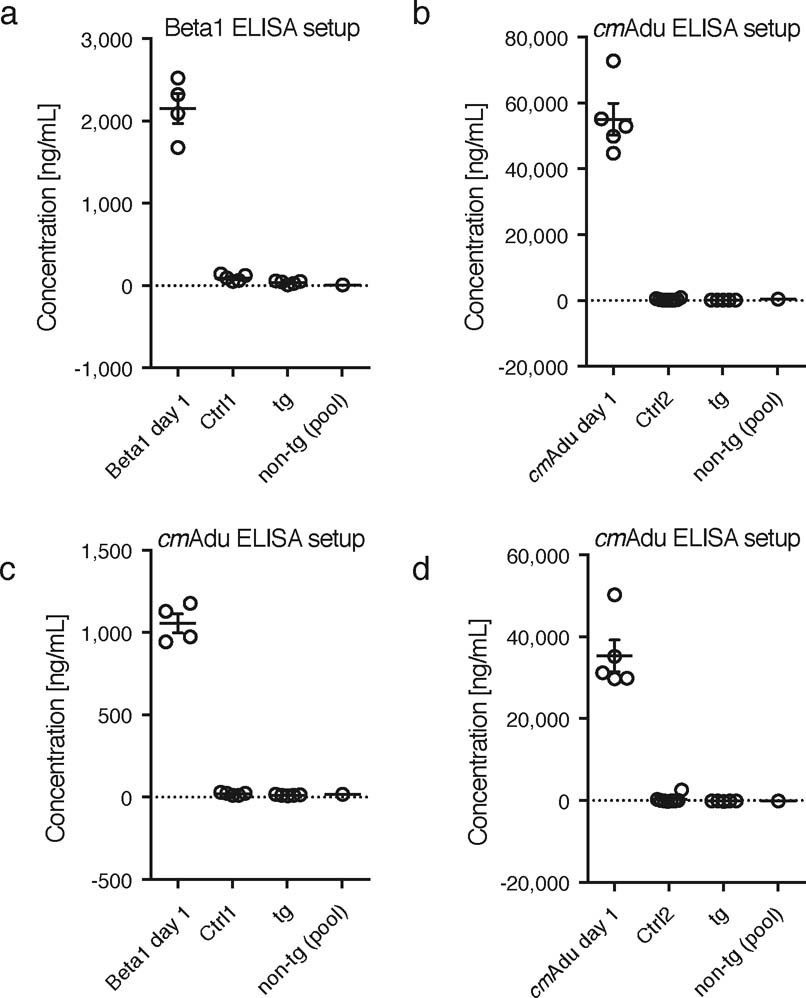 Extended Data Fig. 4: Lack of detectable Aβ antibody titers in normal and control antibody-treated APP23 mice.