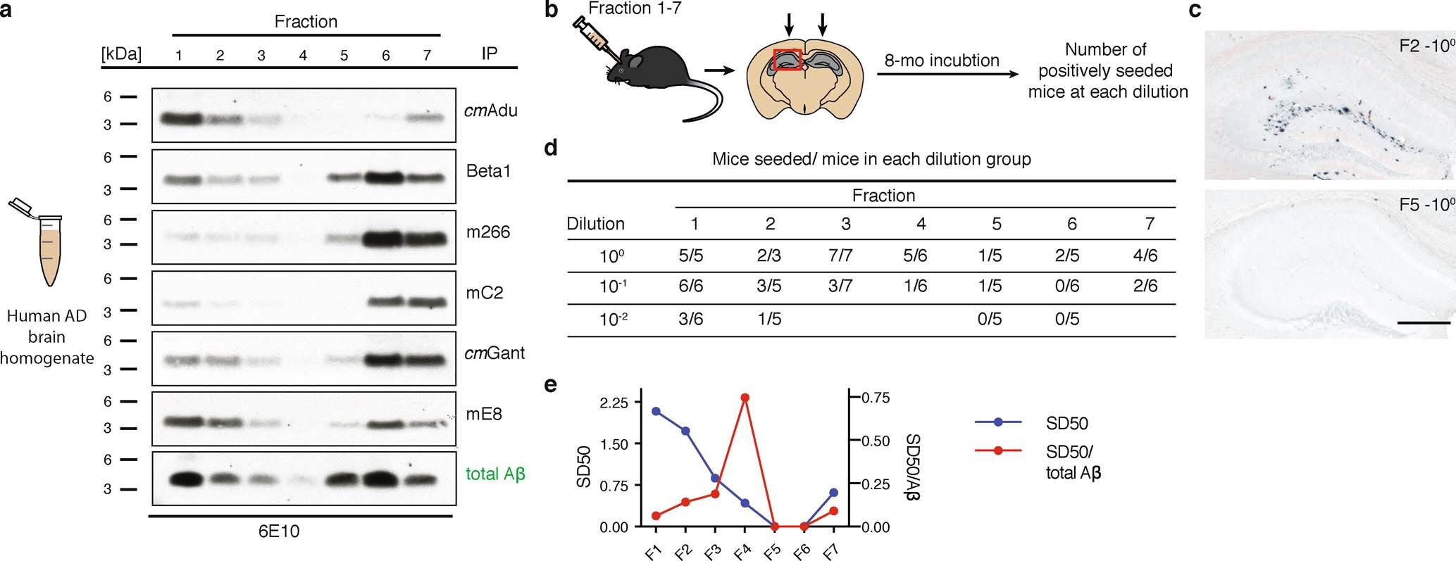 Extended Data Fig. 2: Aβ assemblies from AD brain, ARPA and seeding activity.