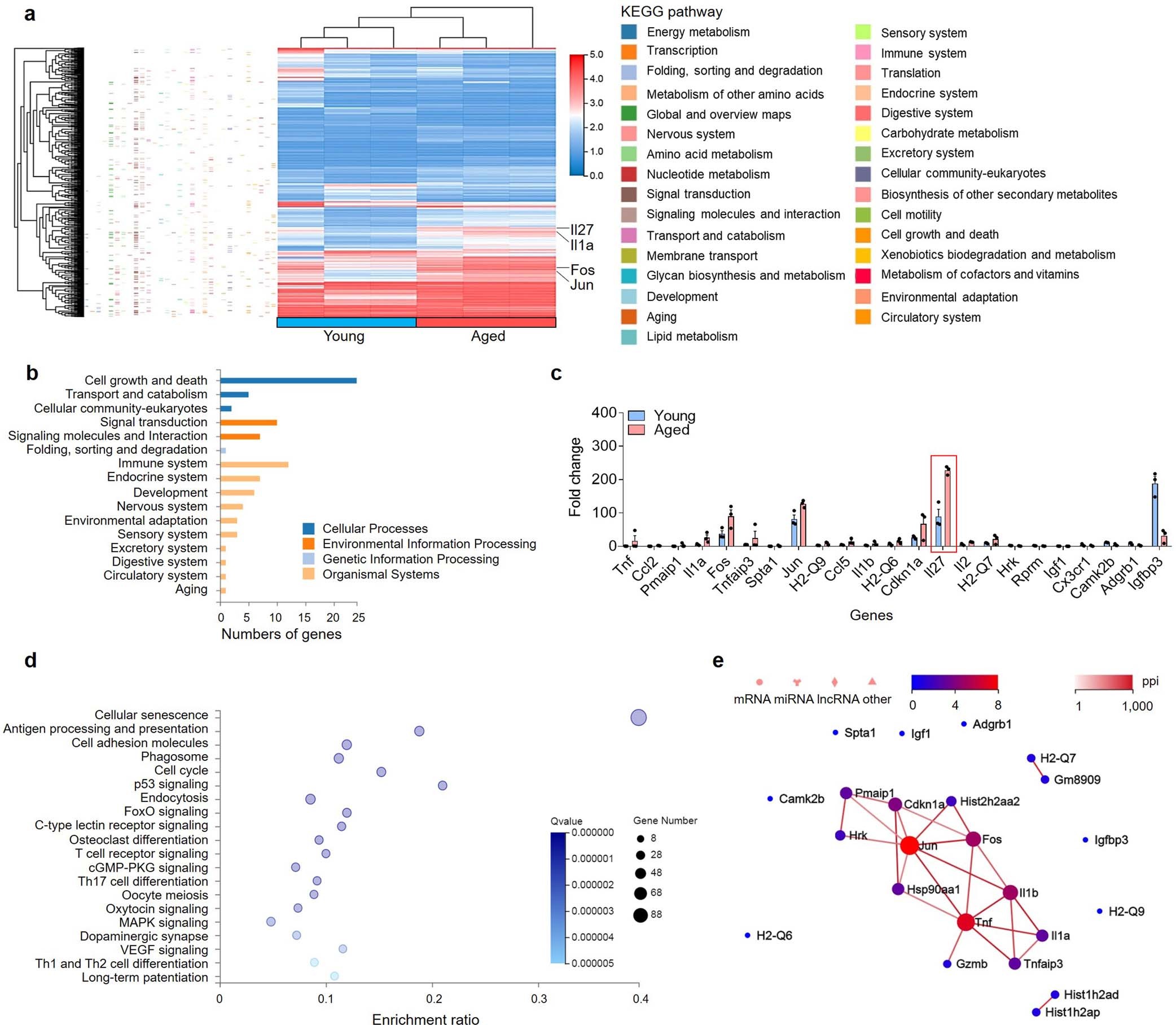 Extended Data Fig. 3
