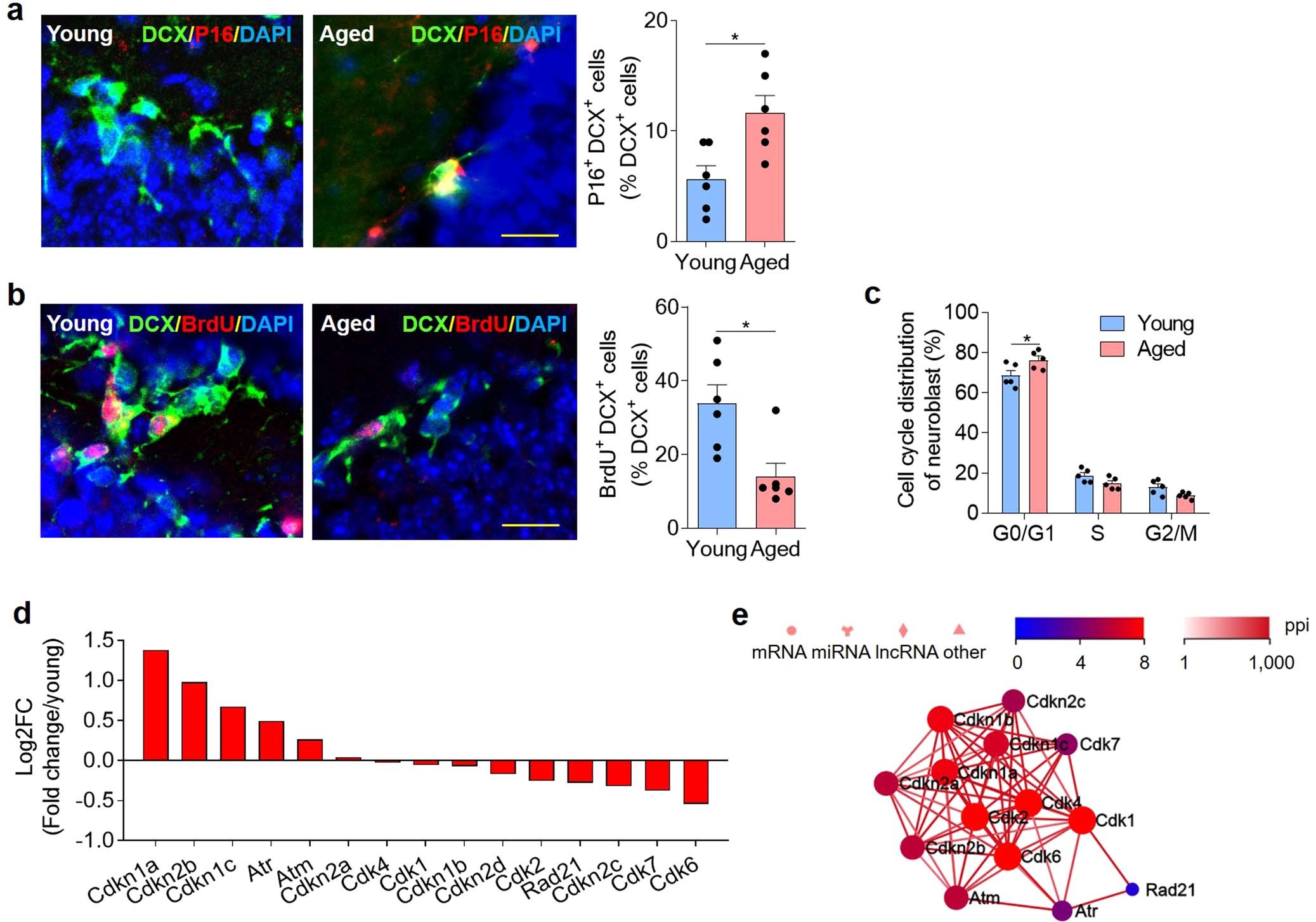 Extended Data Fig. 6