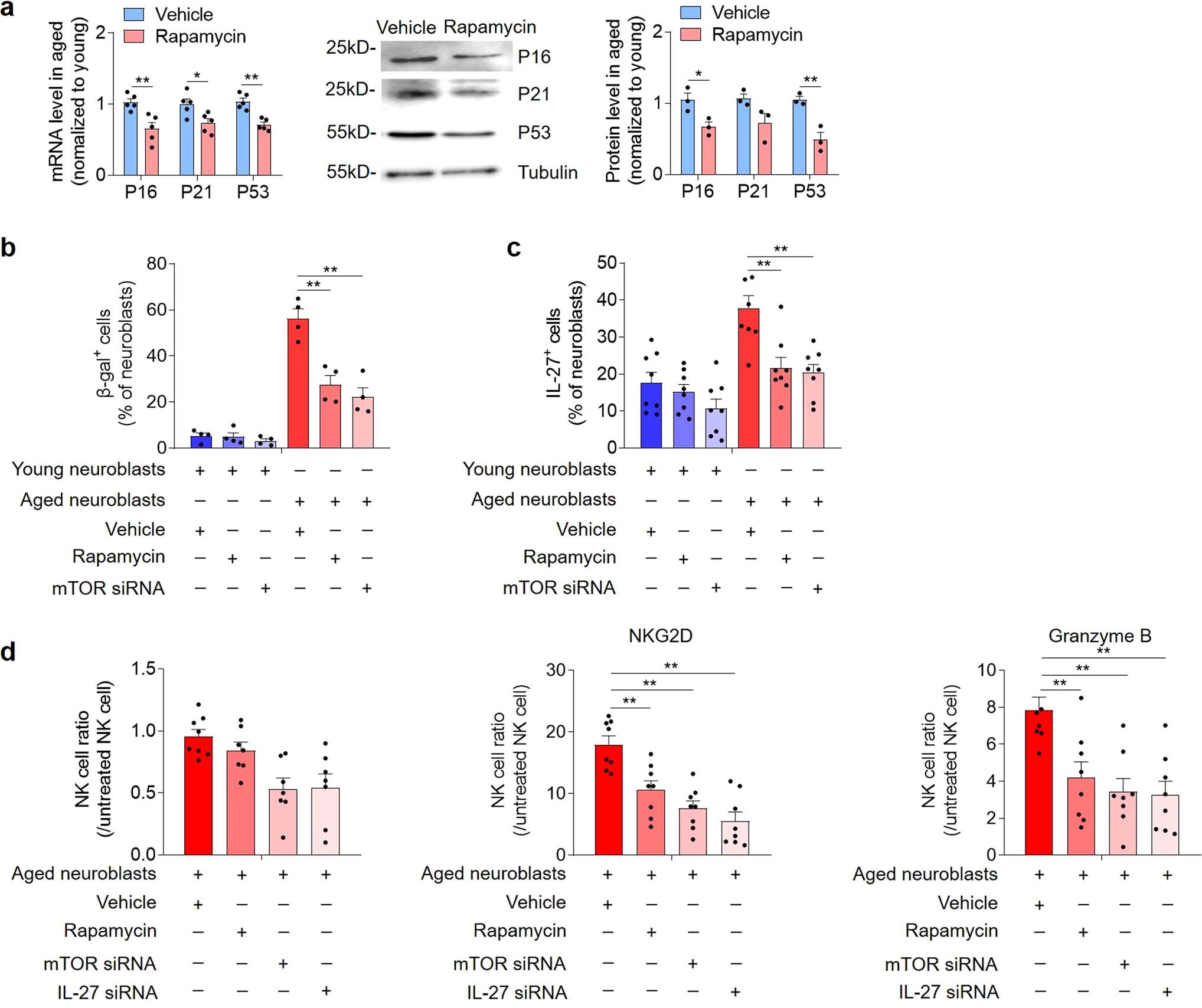 Extended Data Fig. 7