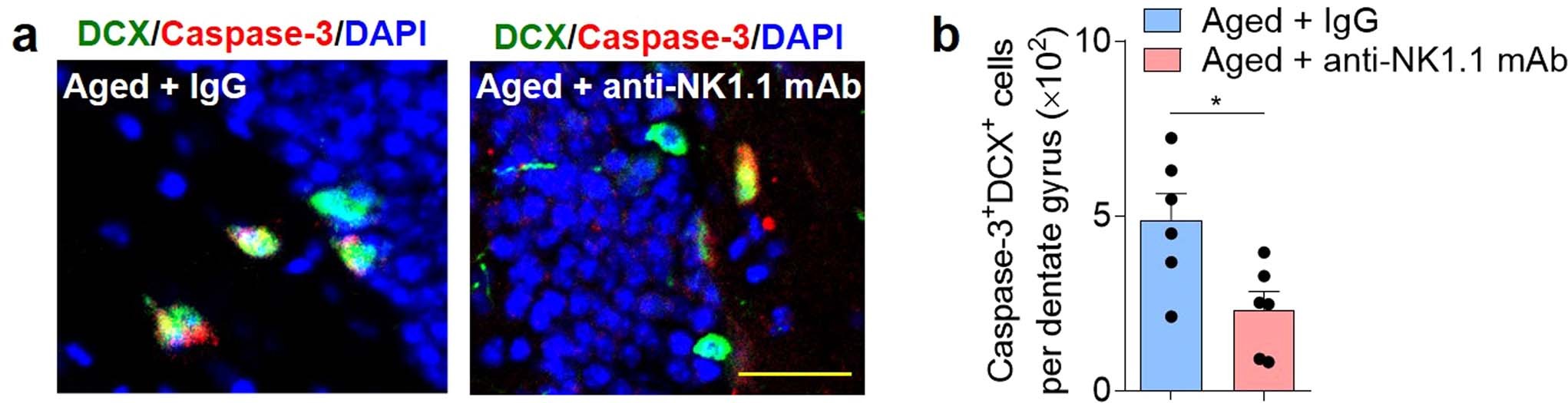 Extended Data Fig. 10