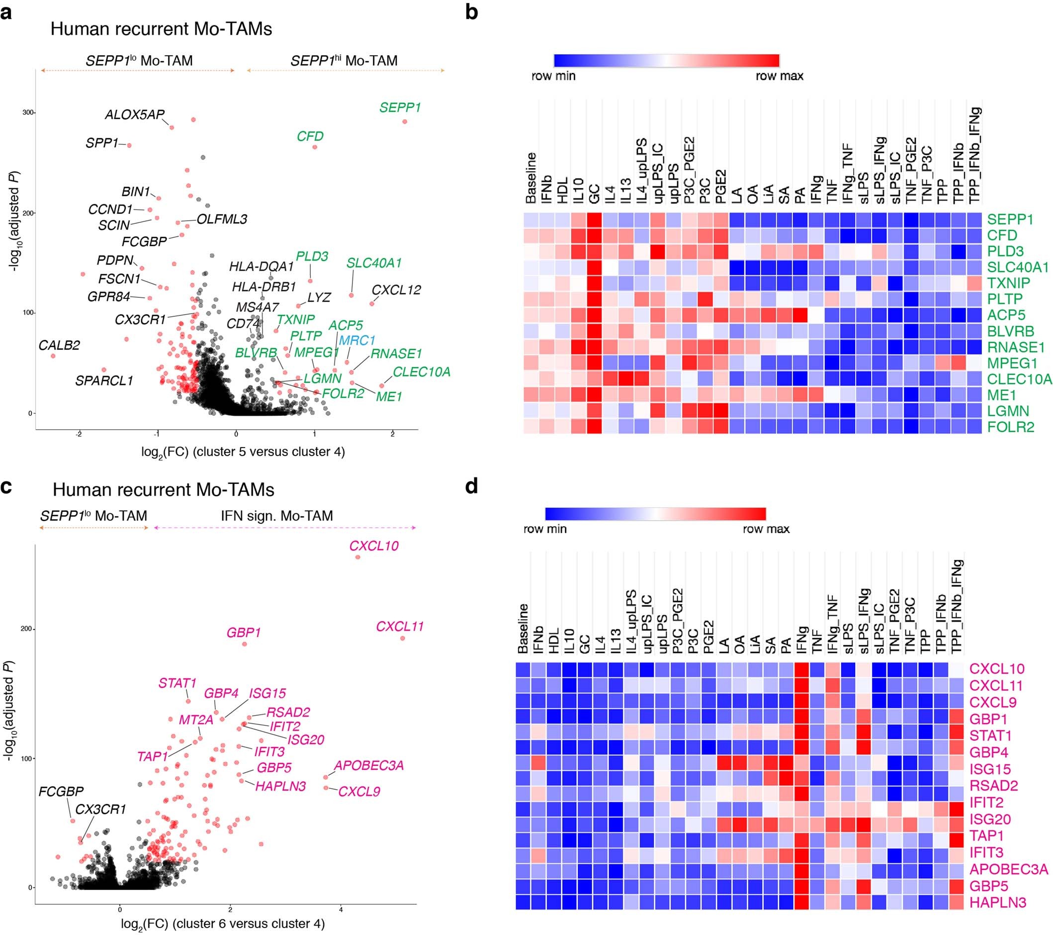 Extended Data Fig. 4: Delineating the gene signatures of human Mo-TAMs.