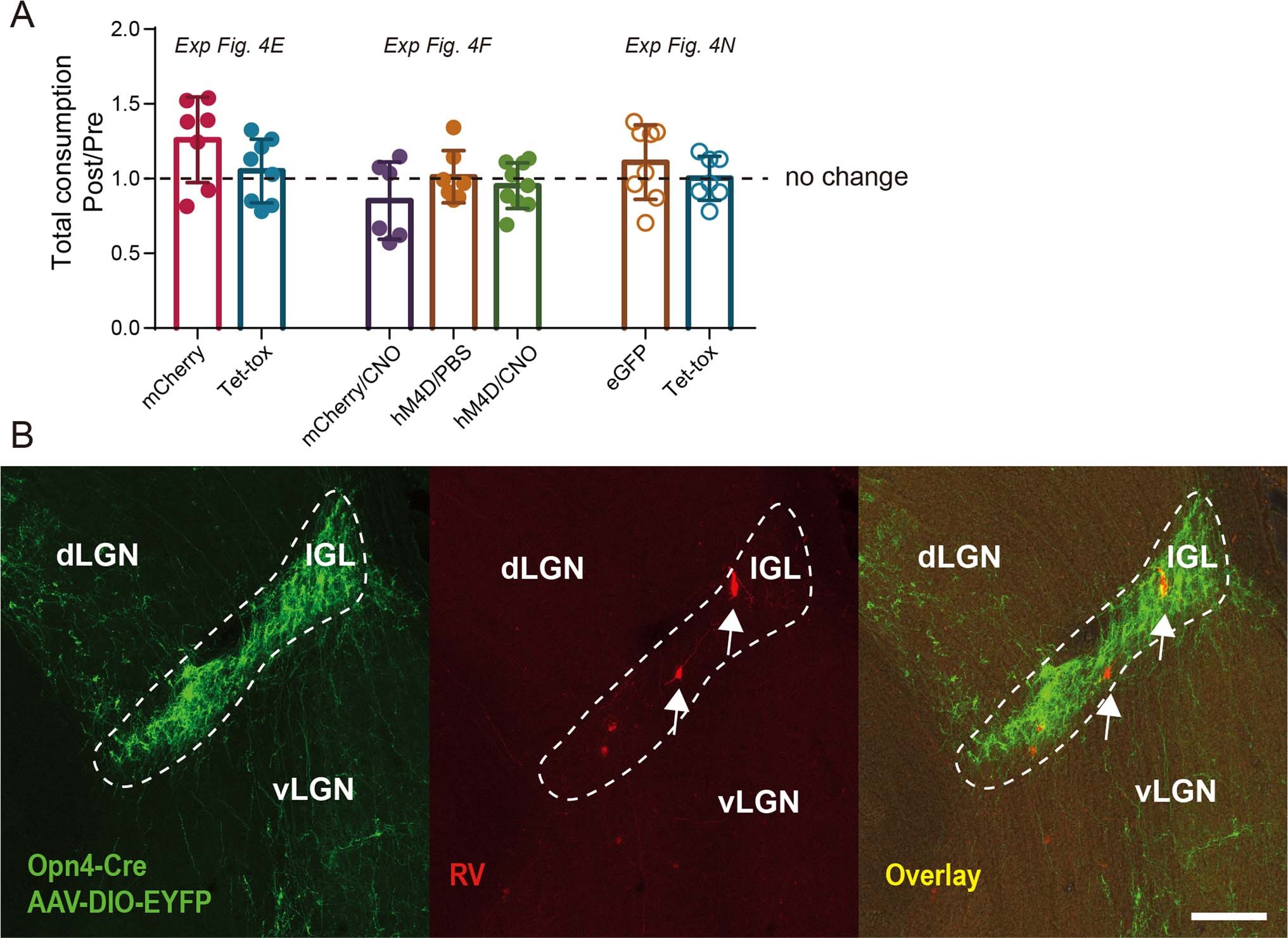 Extended Data Fig. 5: Supporting information related to Figs. 4–5.