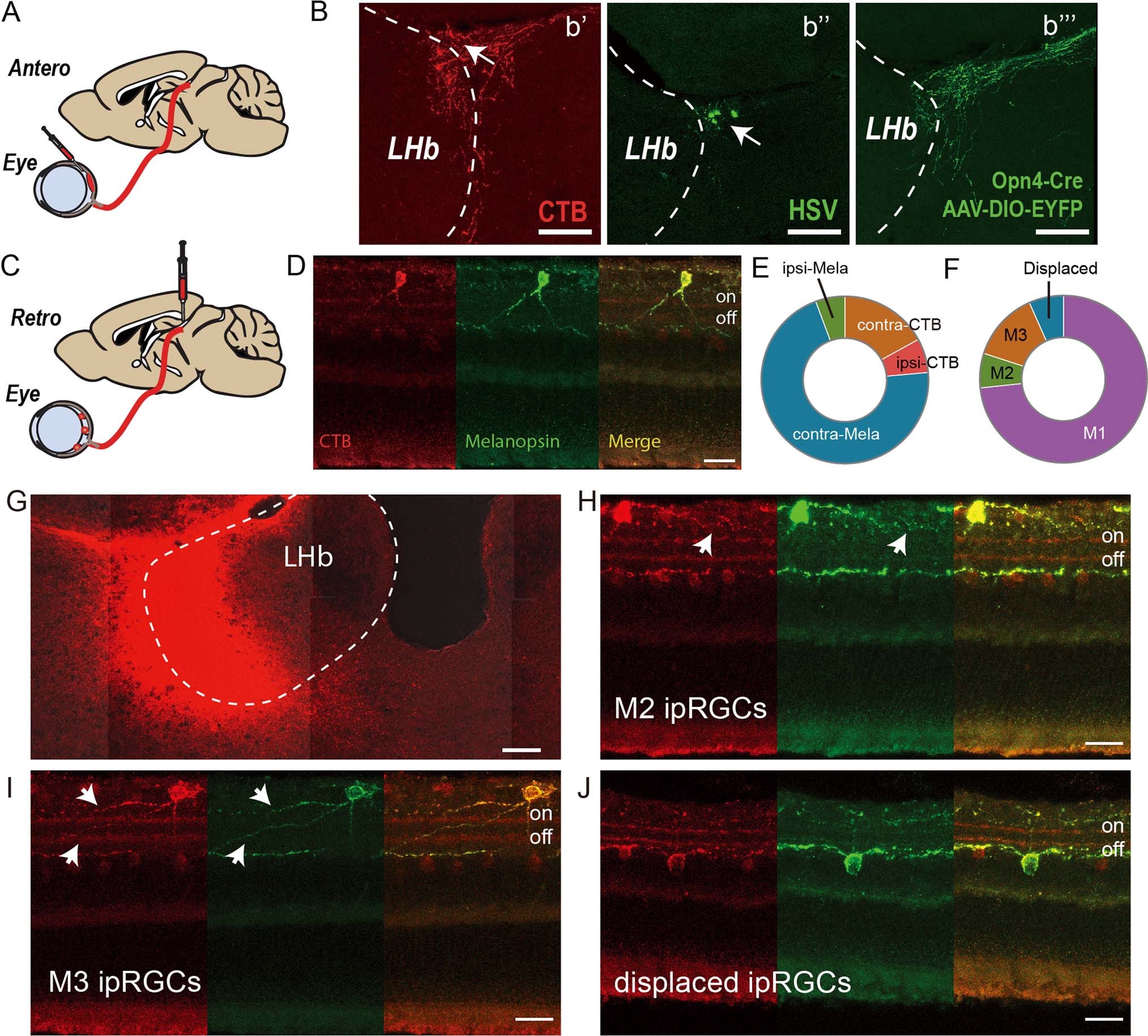 Extended Data Fig. 2: Supporting information related to Fig. 2.
