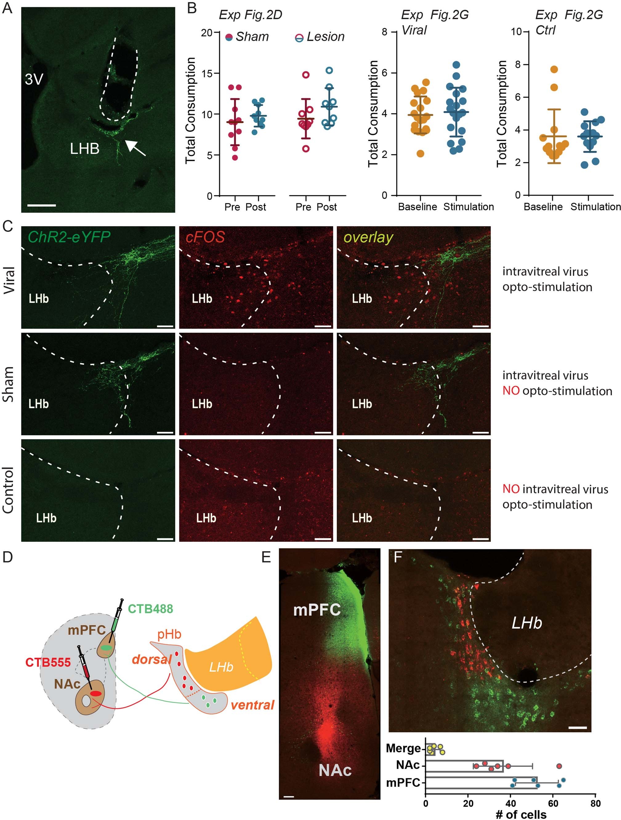Extended Data Fig. 3: Additional supporting information related to Fig. 2.