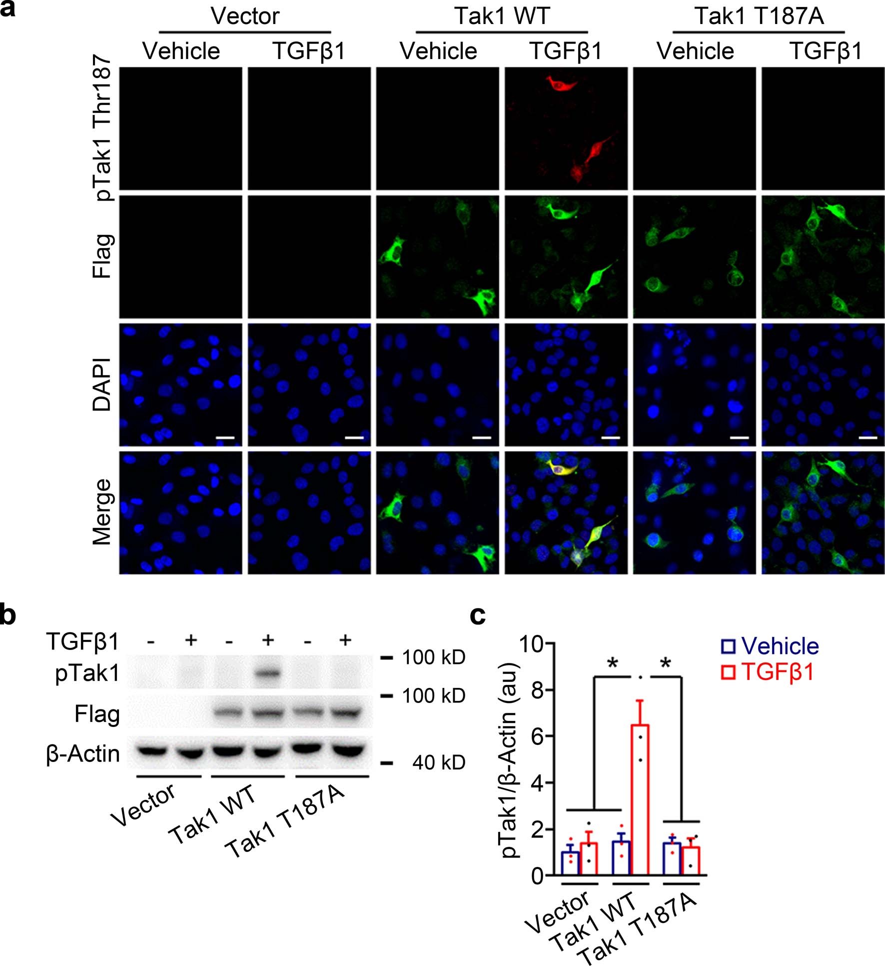 Extended Data Fig. 9