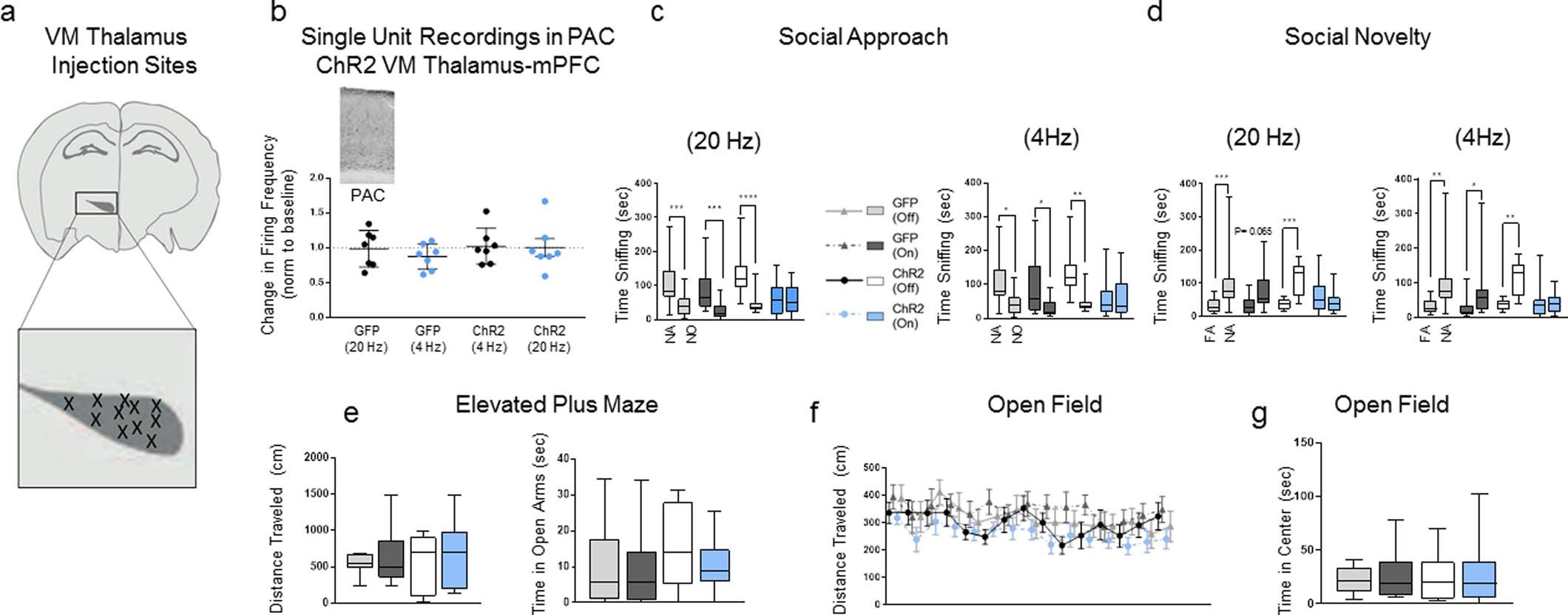 Extended Data Fig. 6: ChR2 activation of VM thalamus-PRL mPFC circuit.