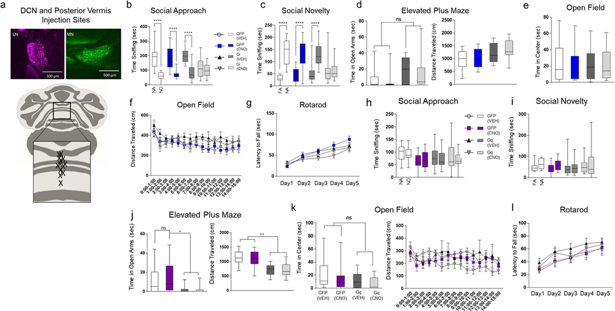 Extended Data Fig. 9: Gi DREADDs inhibition of PCs in the posterior vermis and Gq DREADDs activation of posterior vermis in PC-Tsc1 mutant mice.