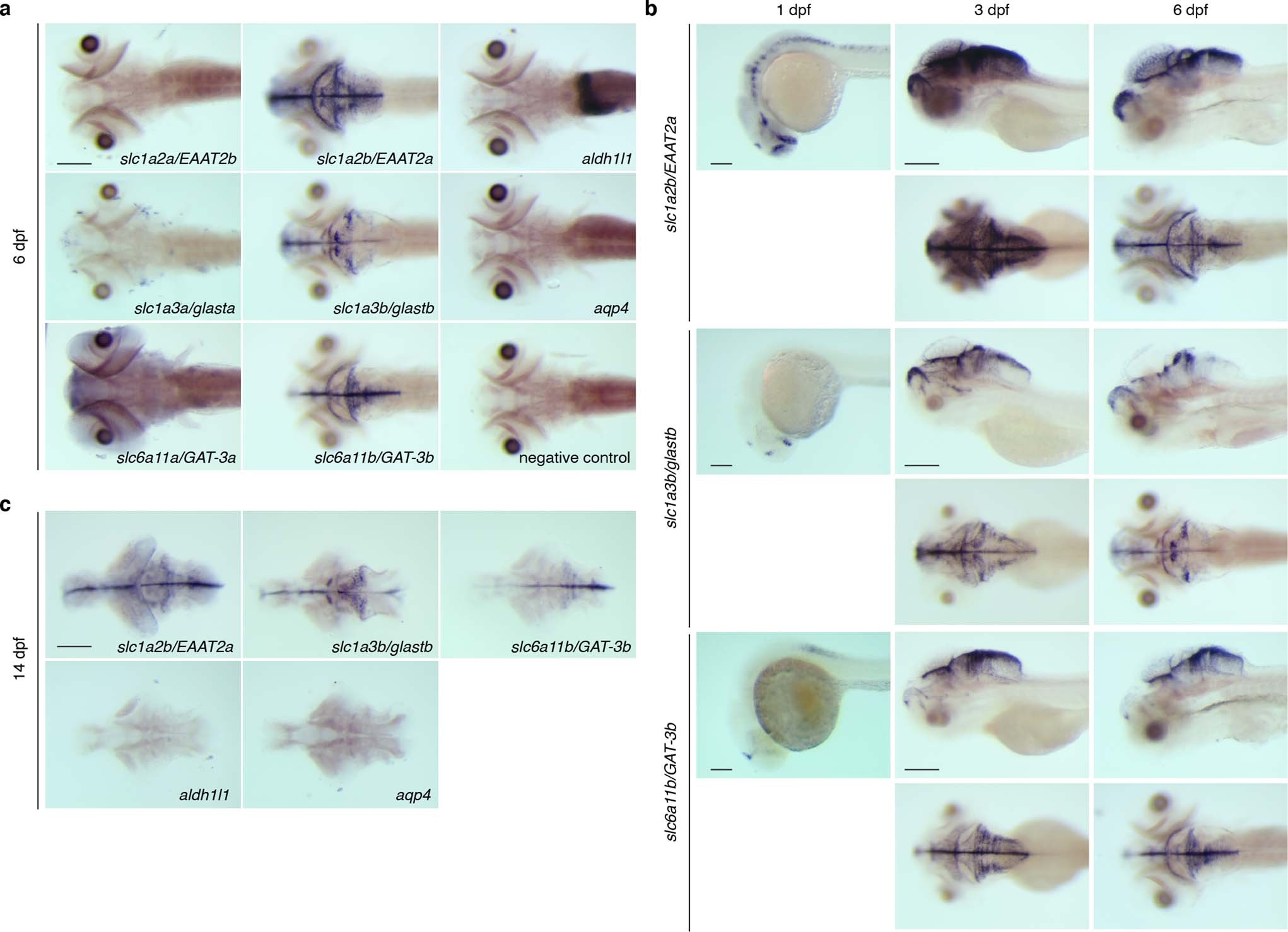 Extended Data Fig. 1