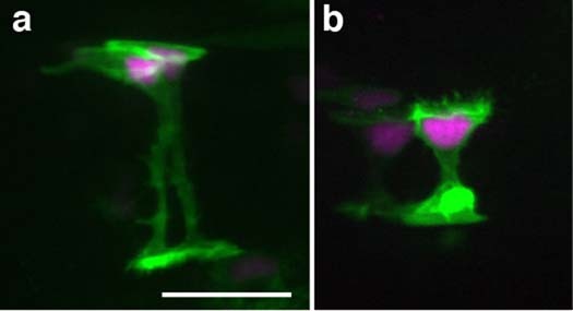 Extended Data Fig. 2