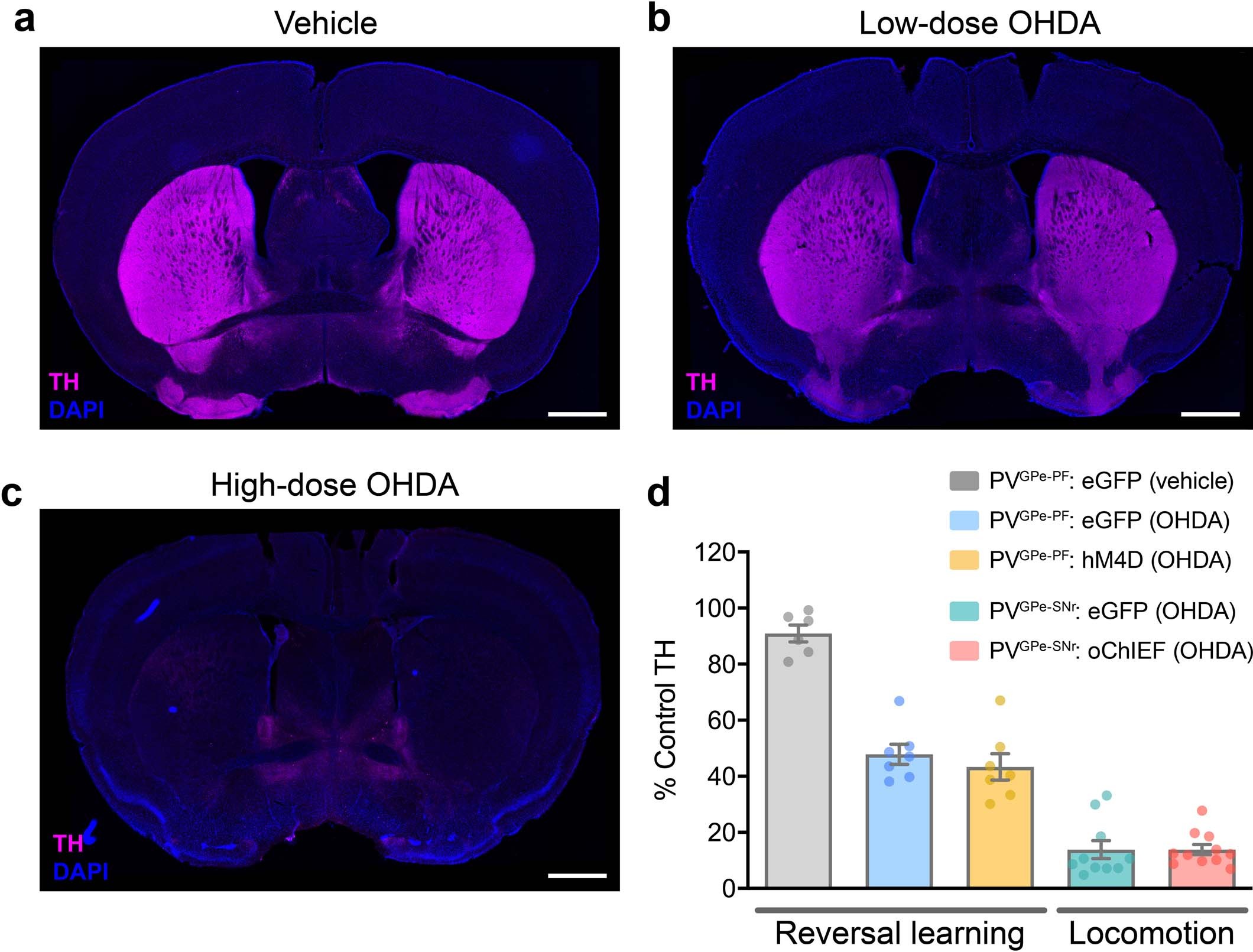 Extended Data Fig. 7