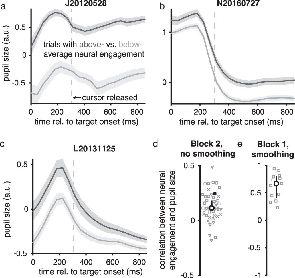 Extended Data Fig. 3: Trials with elevated levels of neural engagement also showed increased pupil size.