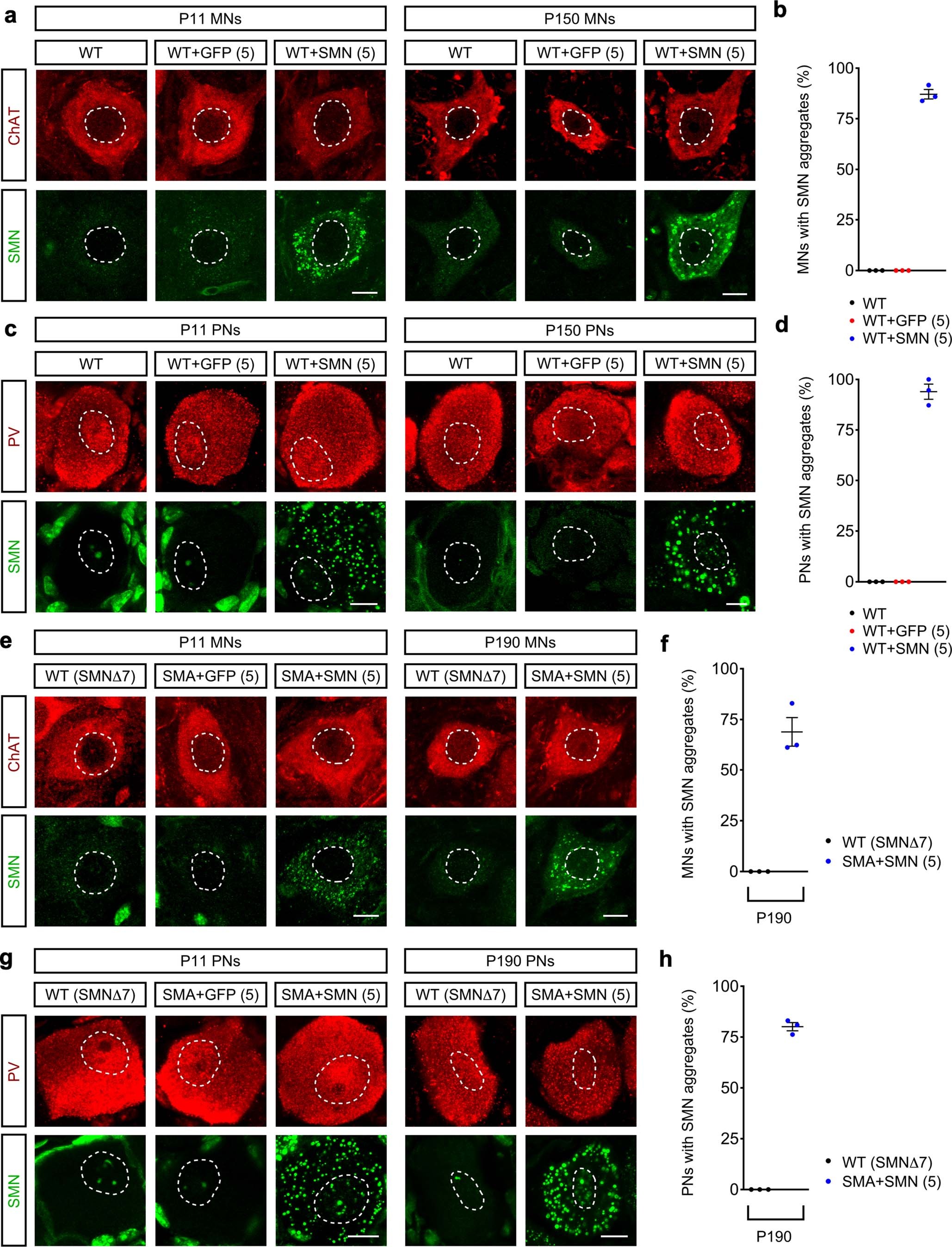 Extended Data Fig. 6