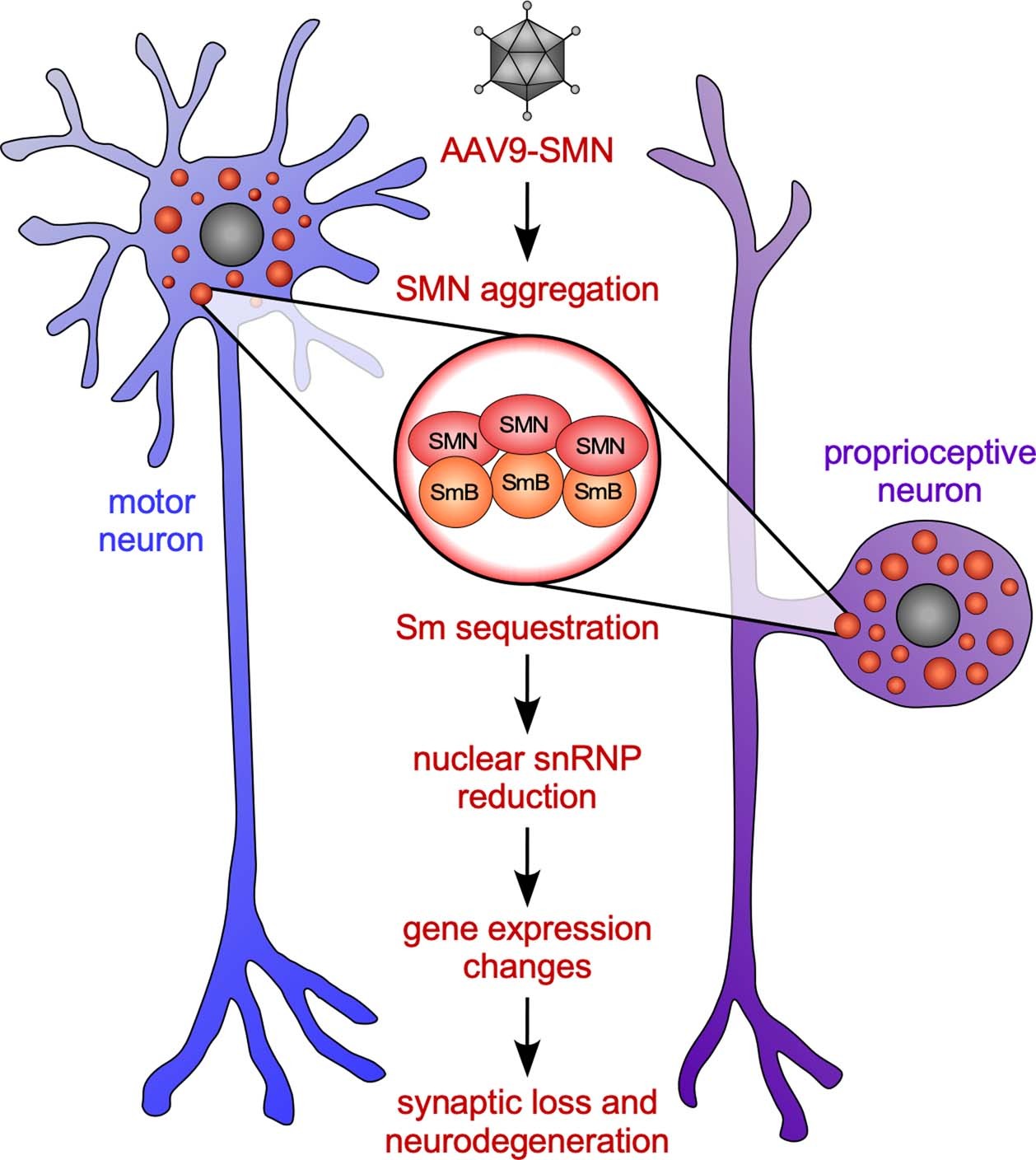 Extended Data Fig. 10