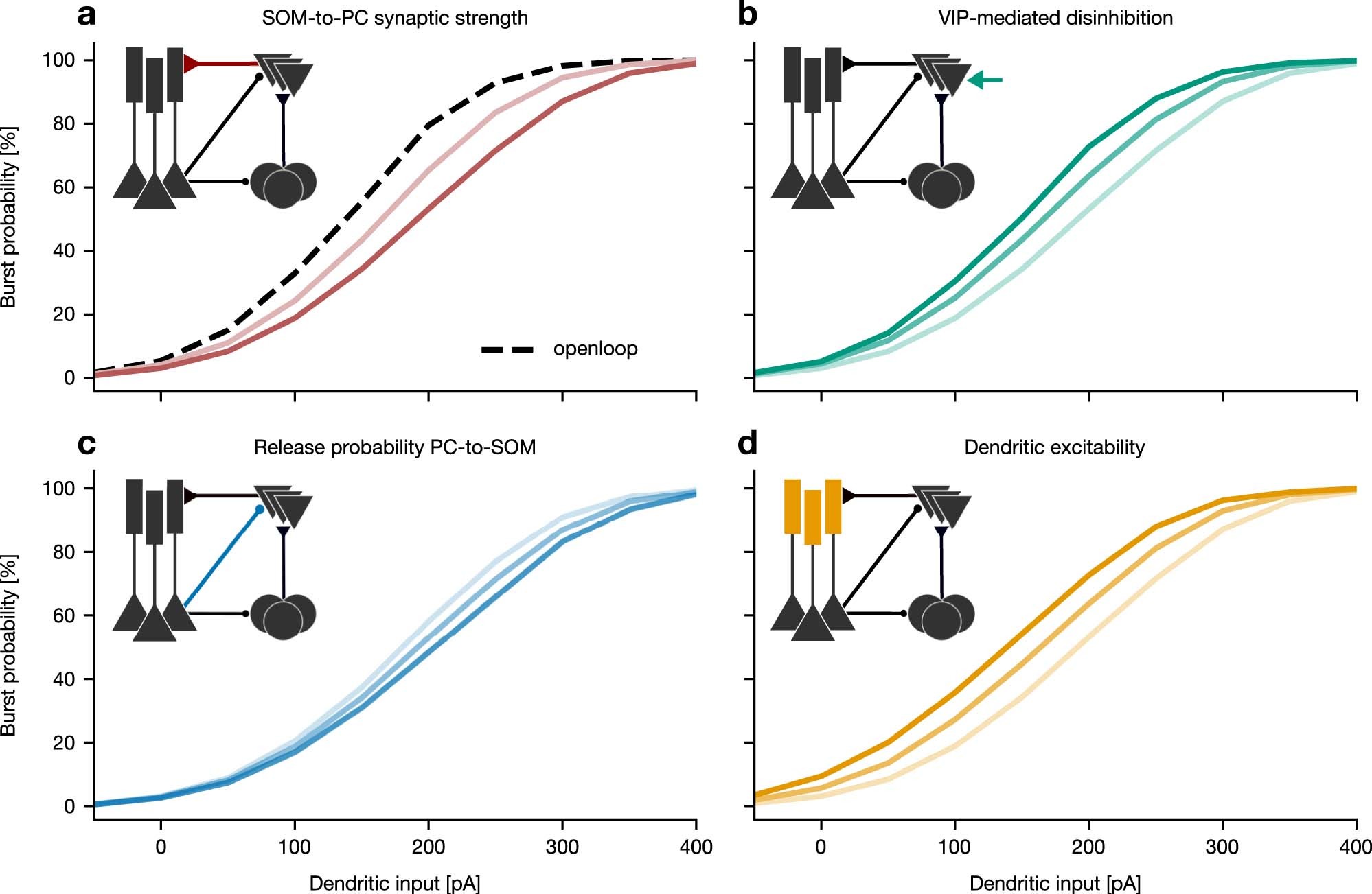Extended Data Fig. 5: Network mechanisms regulating the bursting nonlinearity.