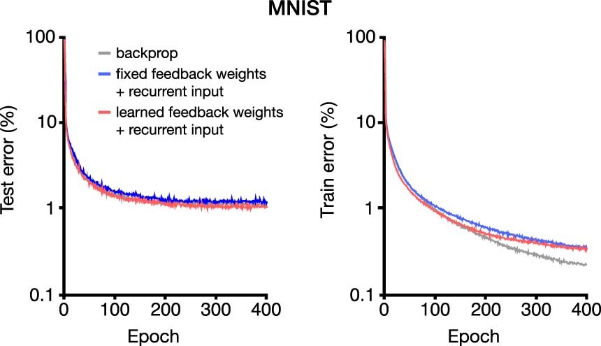 Extended Data Fig. 8: Learning MNIST with the simplified rate model.