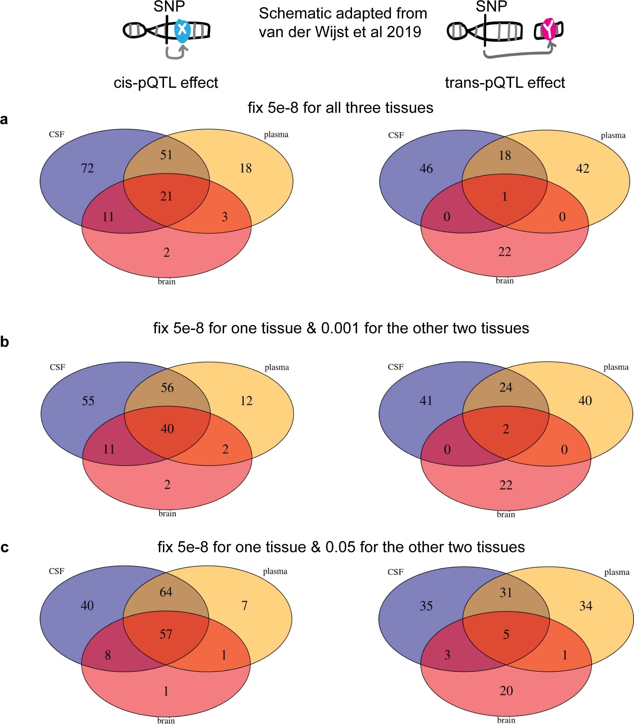 Extended Data Fig. 8: Tissue specificity exploration with permissive thresholds.