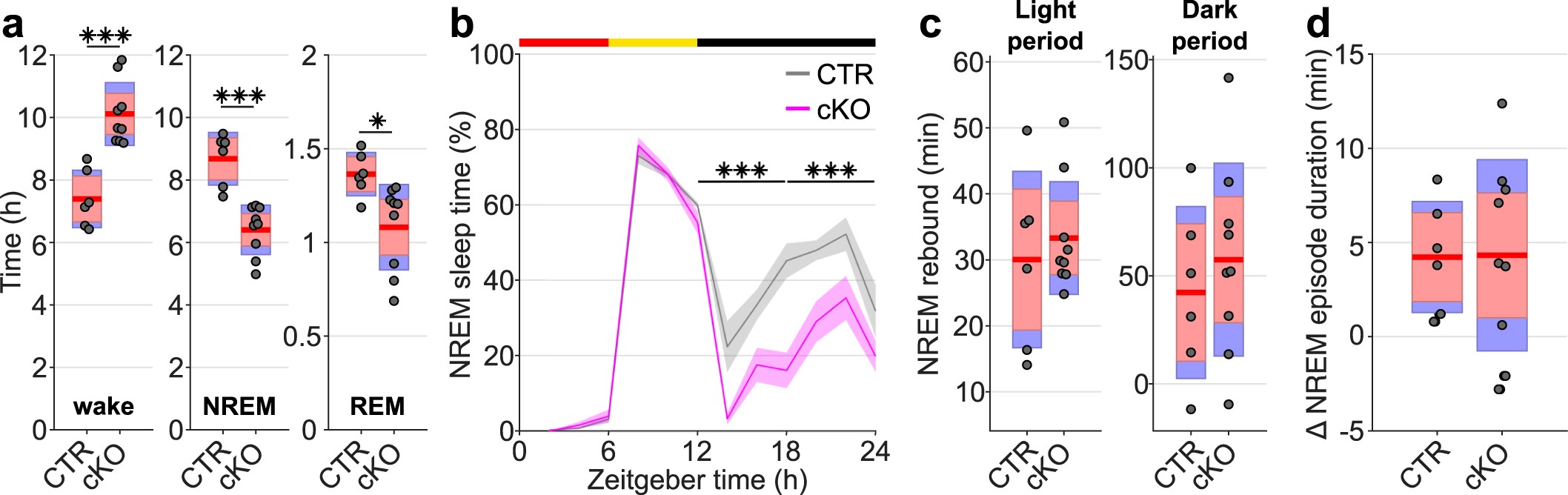 Extended Data Fig. 7: Absolute time in NREM sleep following sleep deprivation is reduced in cortical SNAP25-ablated animals but relative NREM rebound does not differ between genotypes.