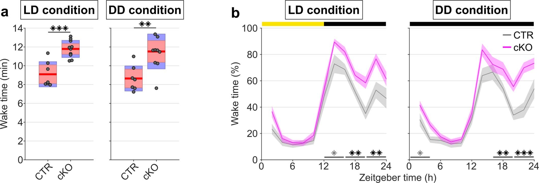 Extended Data Fig. 10: Passive infrared recordings (PIR) show robustness of sleep phenotype to altered light-conditions.
