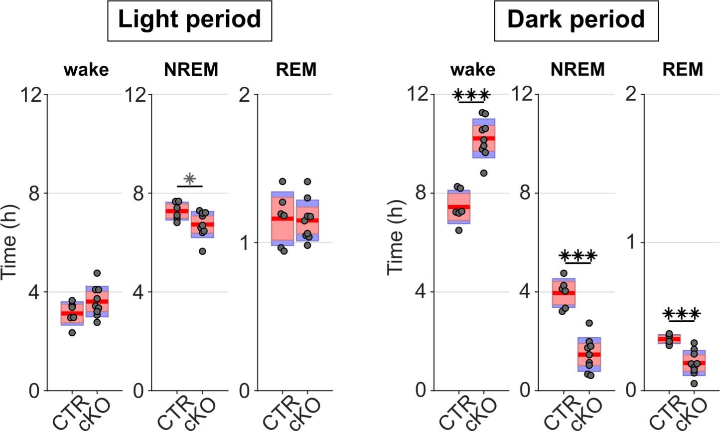 Extended Data Fig. 6: Genotype differences in the amount of time spent in wake, NREM, and REM sleep during undisturbed baseline recordings are more pronounced in the dark period.