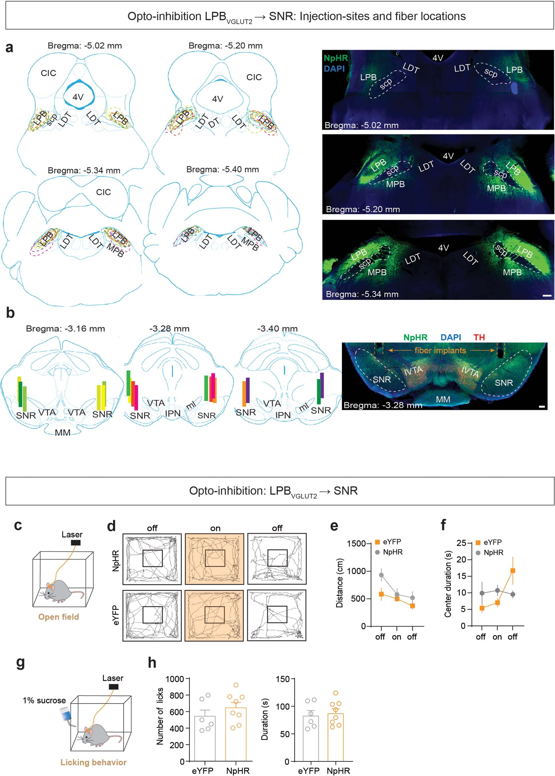 Extended Data Fig. 5