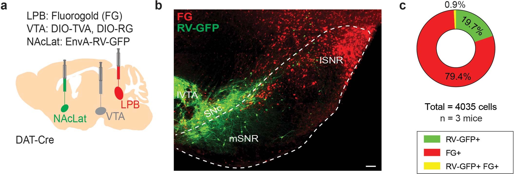 Extended Data Fig. 9