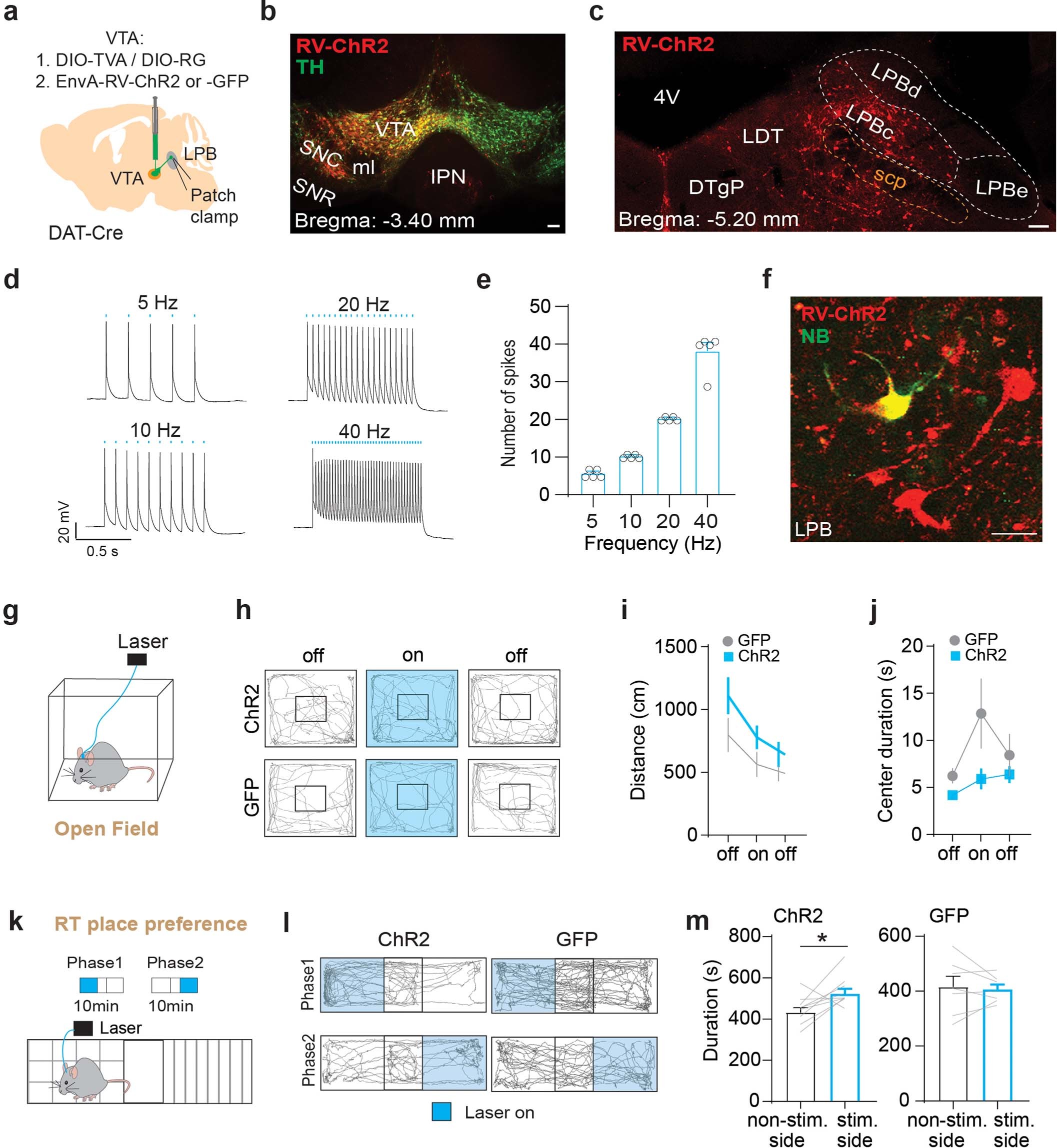 Extended Data Fig. 10