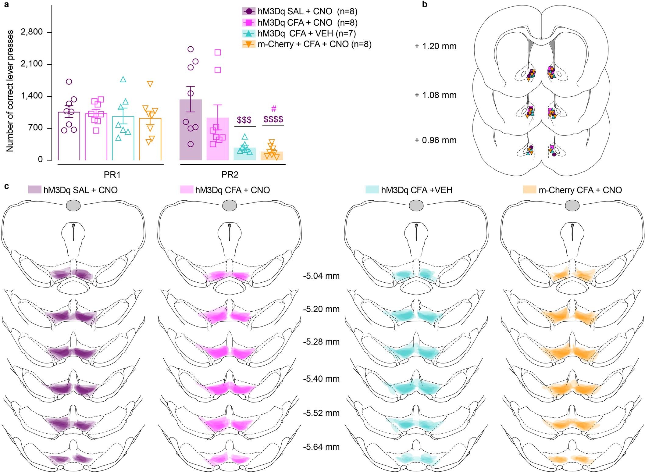 Extended Data Fig. 6: Chemogenetic activation of NAcSH projecting VTA DA neurons, prevents CFA induced decrease in number of correct lever presses for sucrose rewards in PR task.