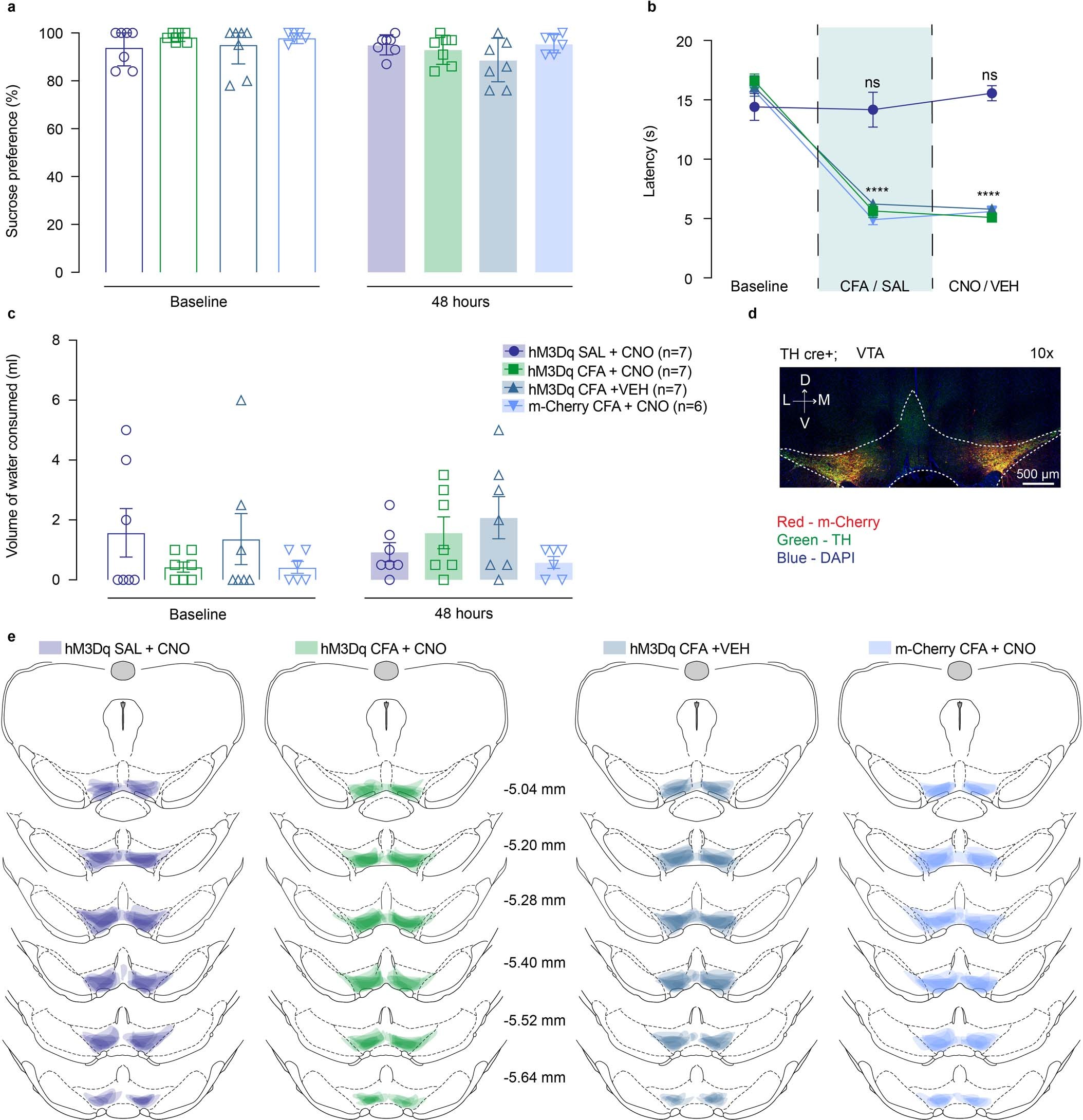 Extended Data Fig. 8: Chemogenetic stimulation of VTA DA neurons does not alter water intake in two-bottle choice test.