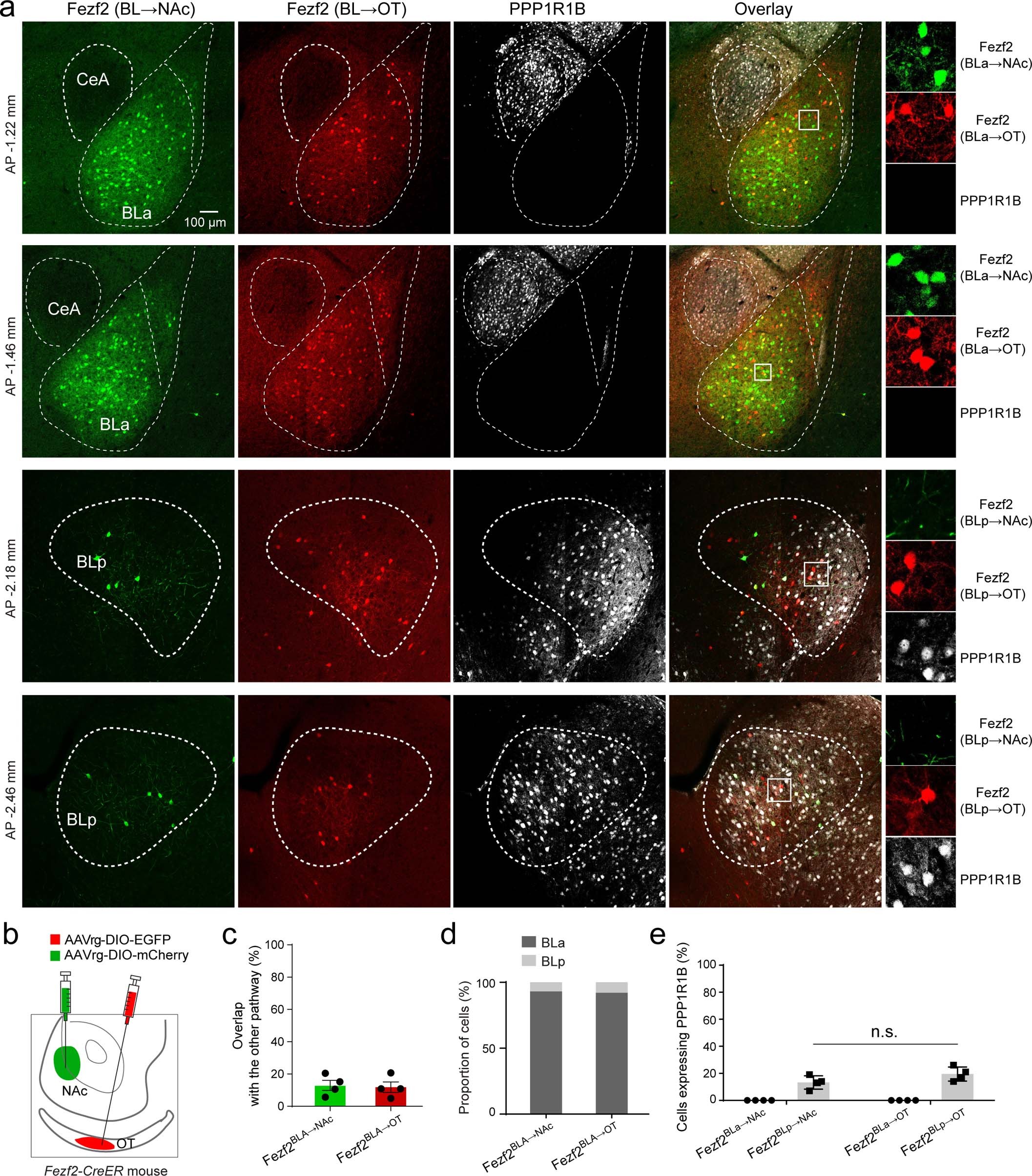 Extended Data Fig. 6