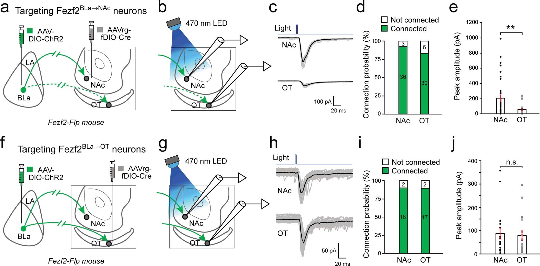 Extended Data Fig. 7