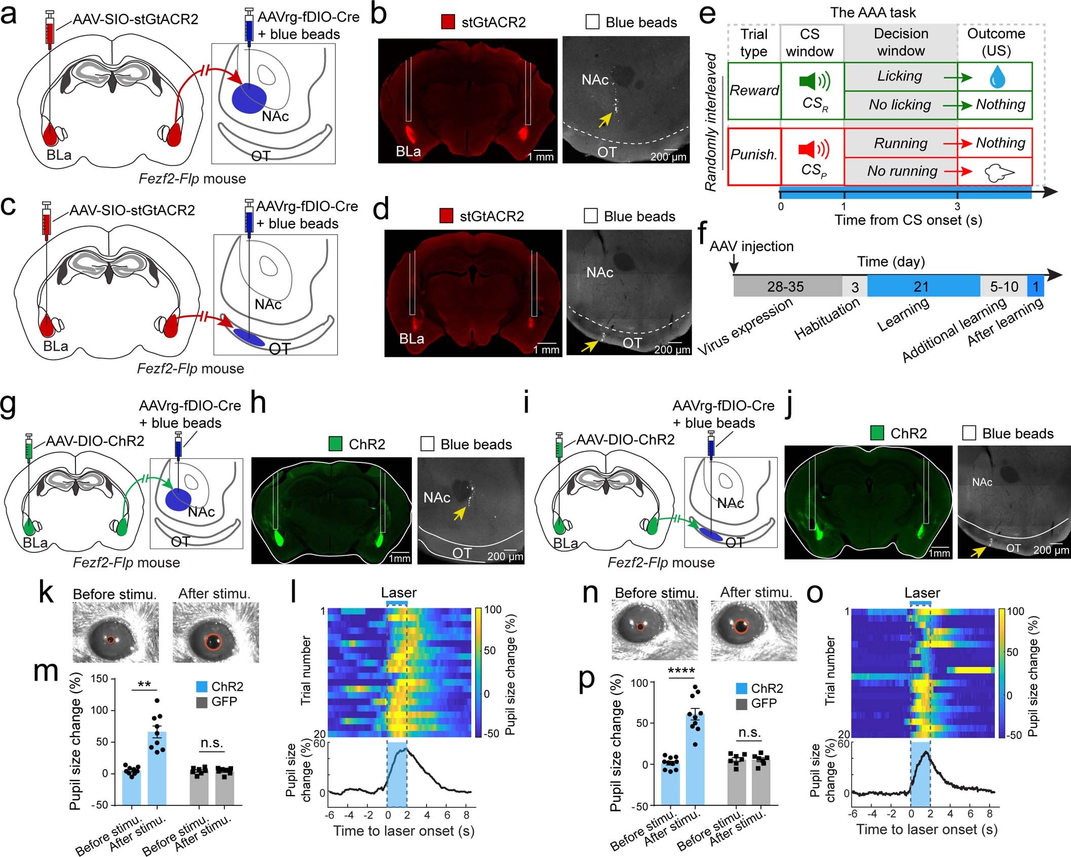 Extended Data Fig. 9
