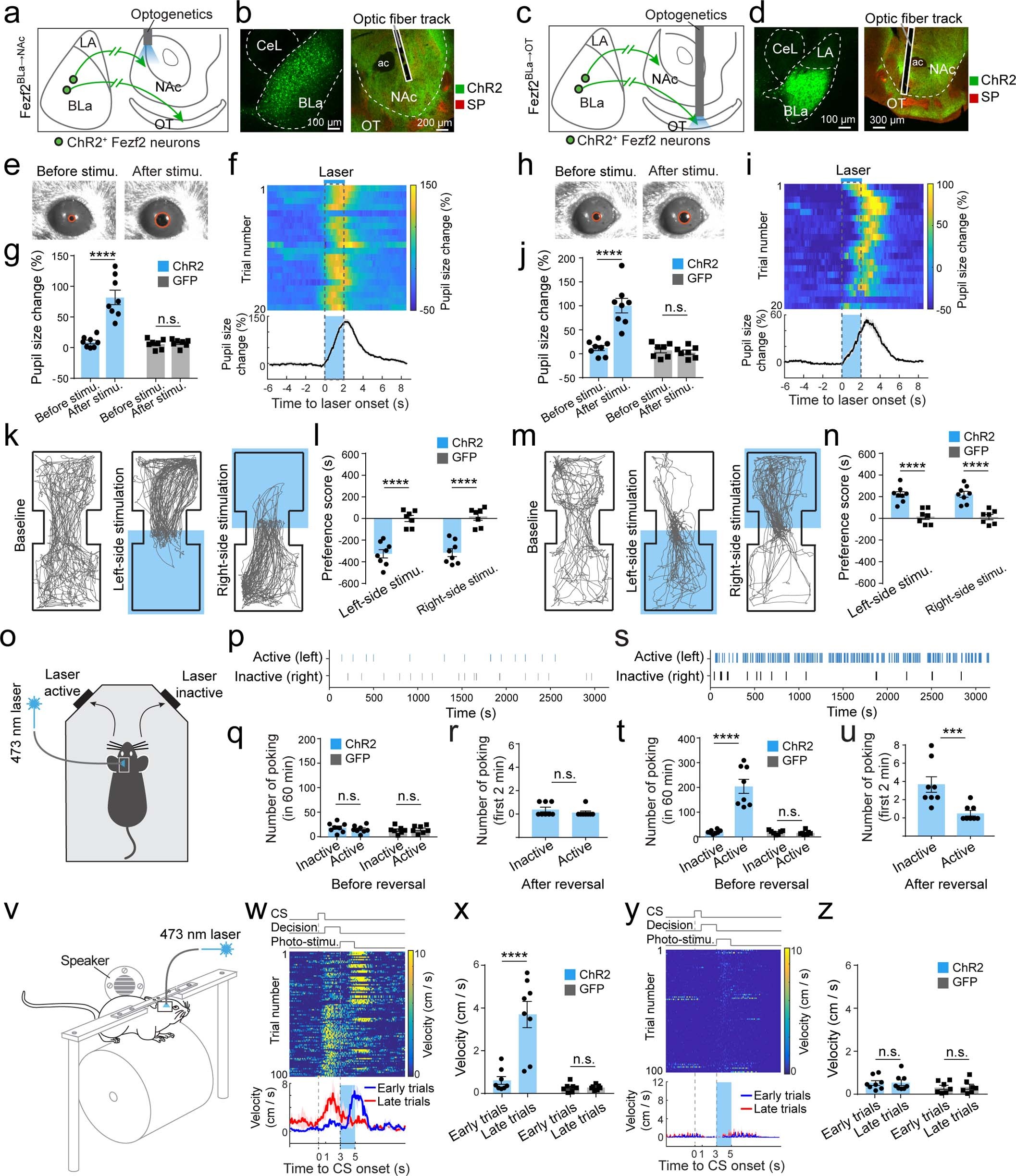Extended Data Fig. 10
