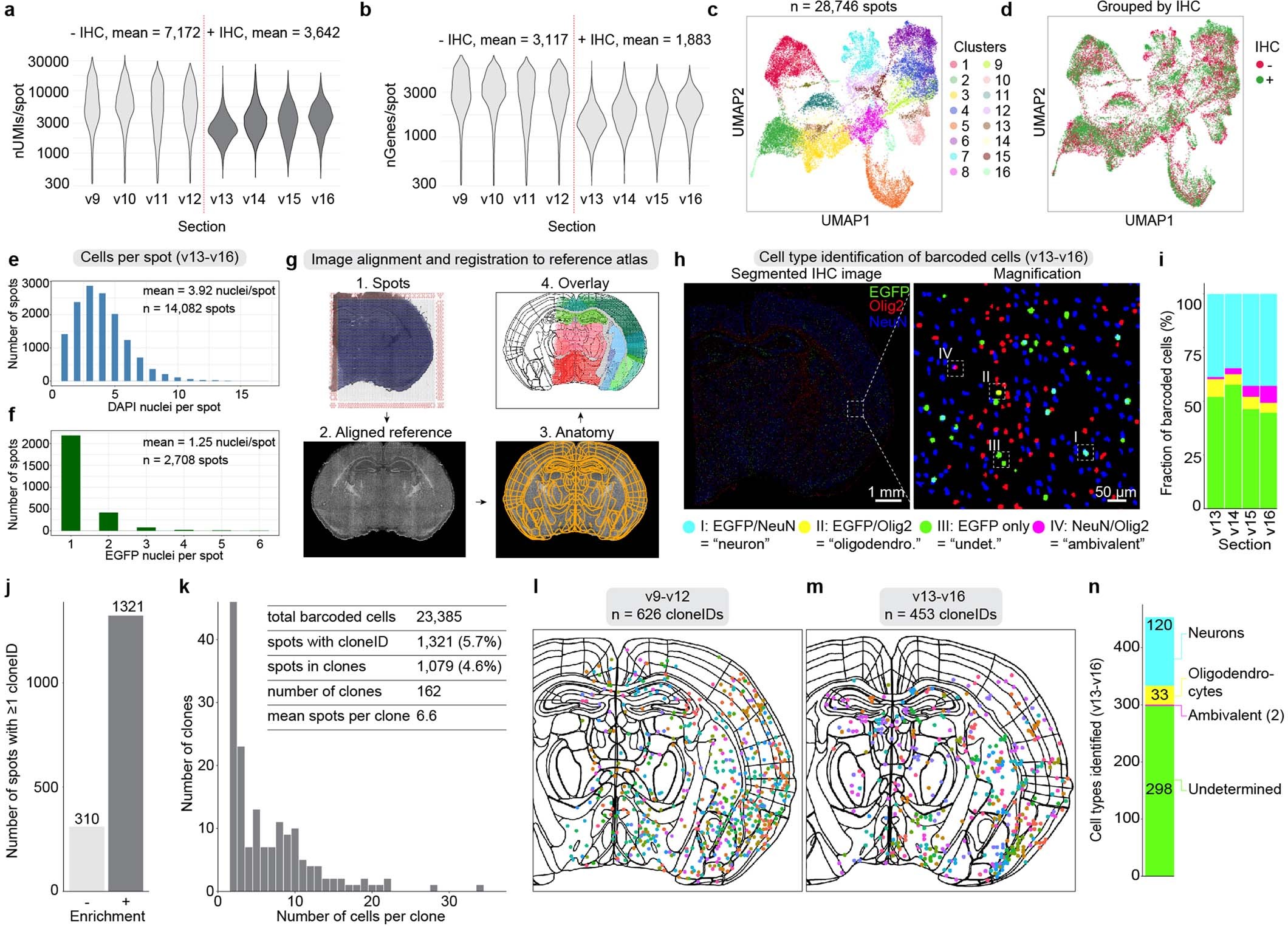 Extended Data Fig. 8: Space-TREX enables simultaneous profiling of gene expression, clonal tracking and phenotyping of cell types in situ.