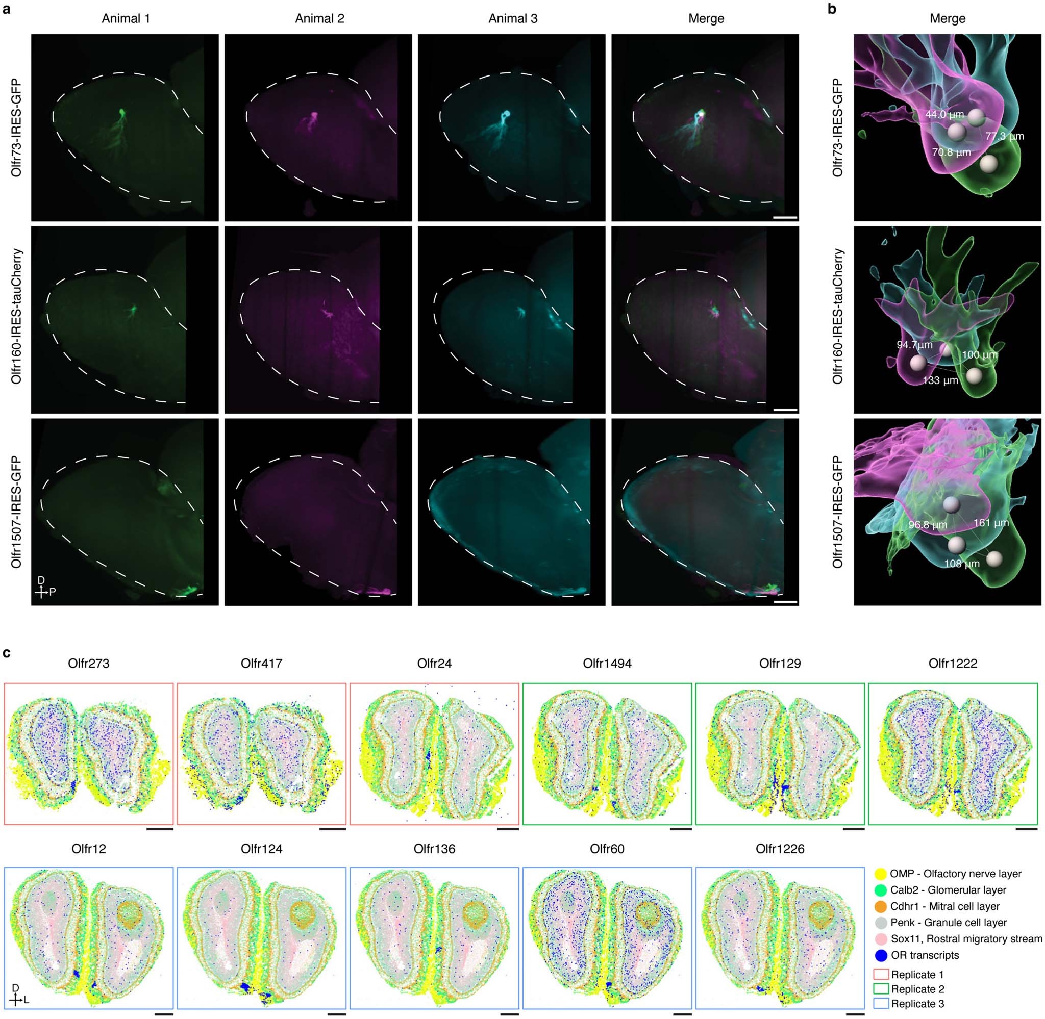 Extended Data Fig. 7