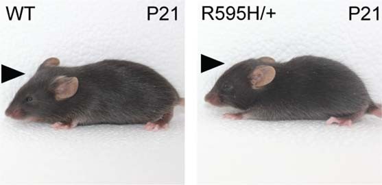 Extended Data Fig. 3