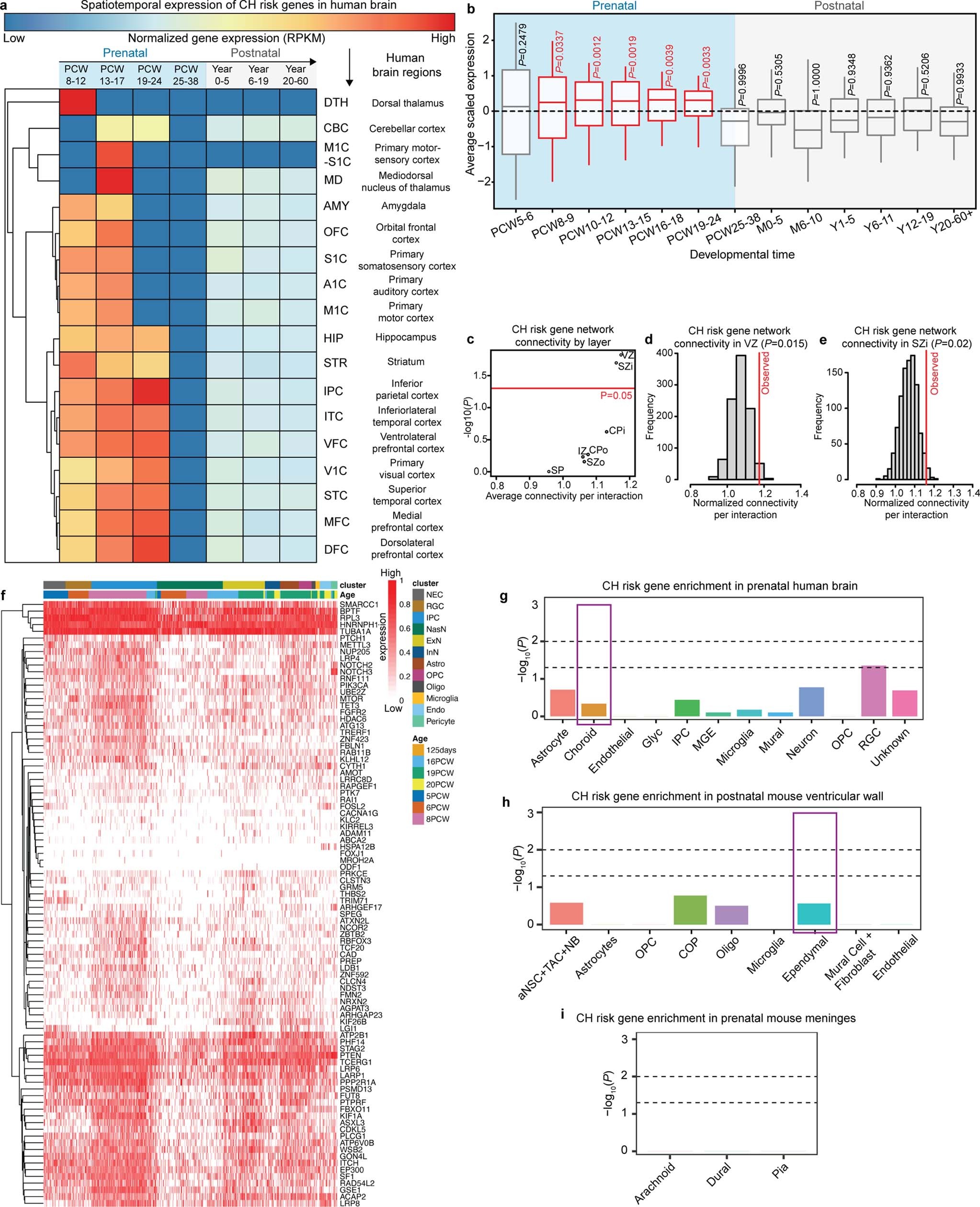 Extended Data Fig. 1: Integrative genomic analysis of CH genetic risk.