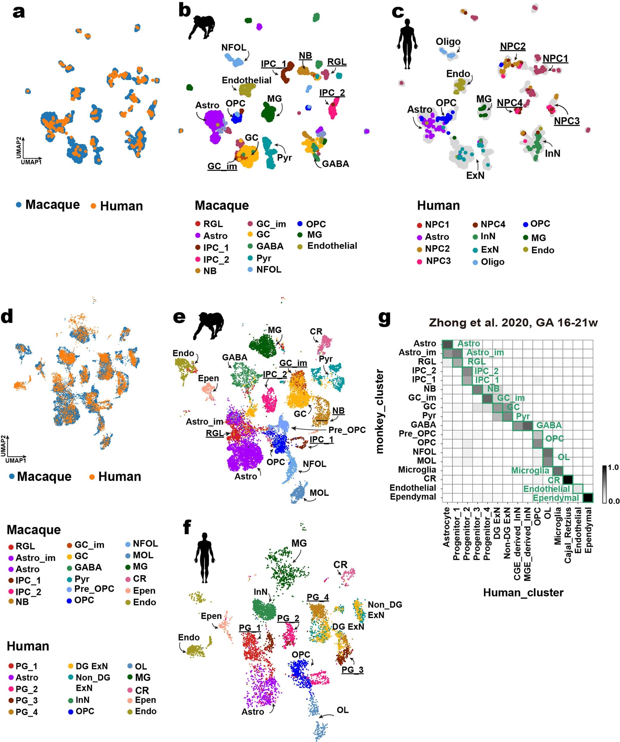 Extended Data Fig. 7