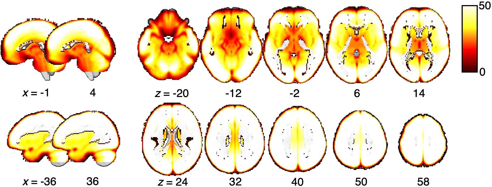 Extended Data Fig. 7: tSNR map.
