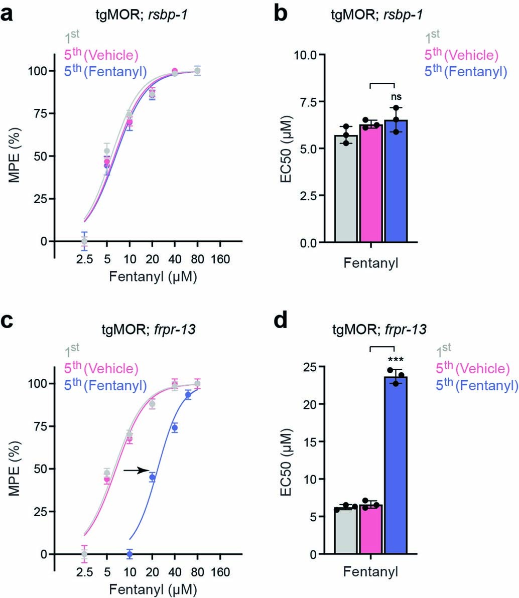 Extended Data Fig. 2: RSBP-1/R7BP and FRPR-13 show differential effects on opioid tolerance.
