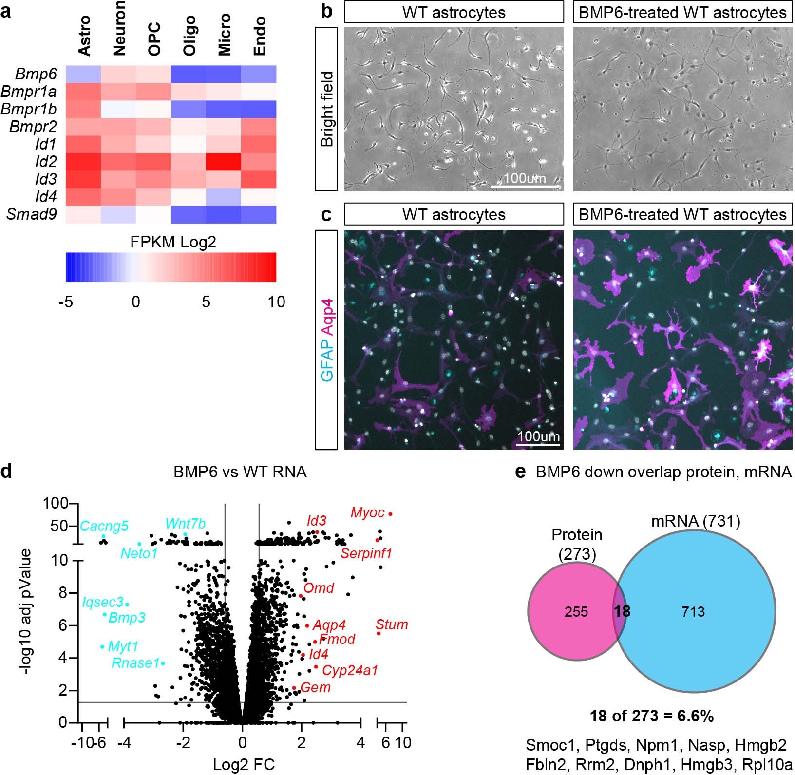 Extended Data Fig. 6