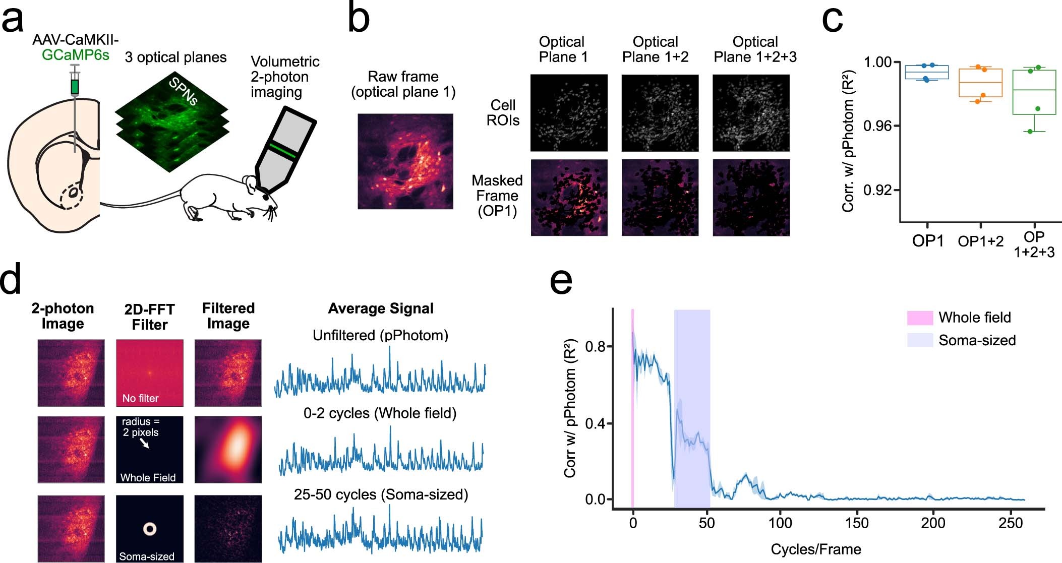 Extended Data Fig. 6