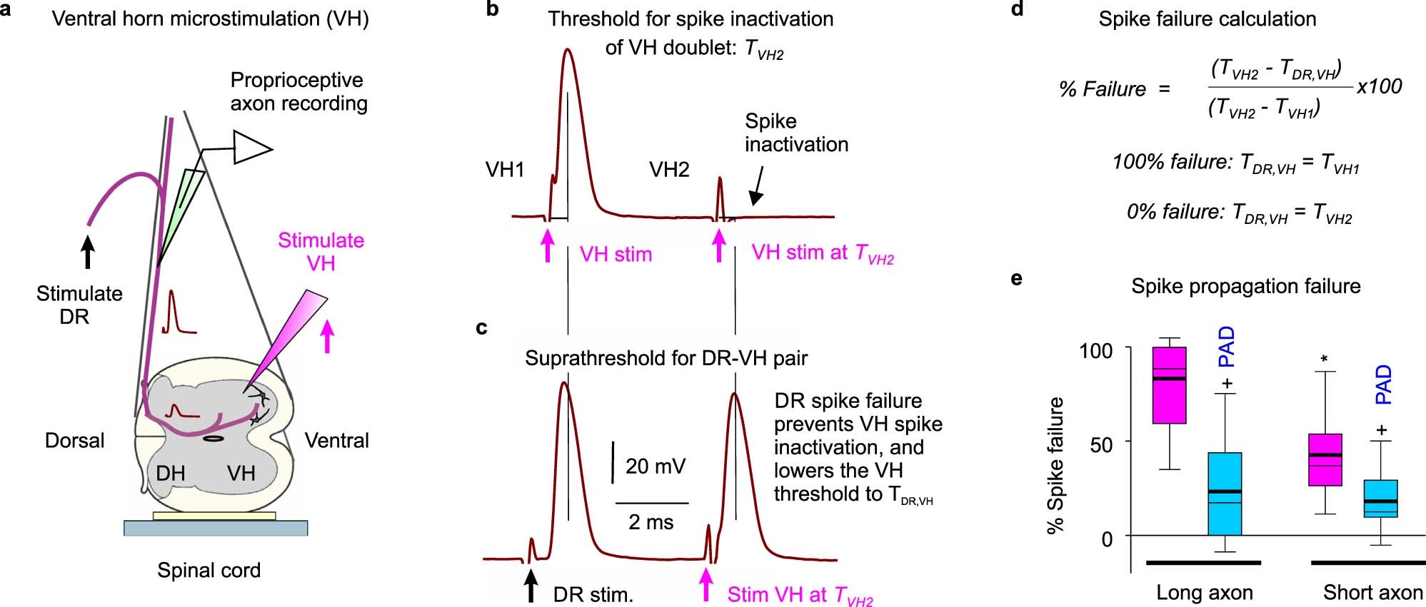 Extended Data Fig. 9