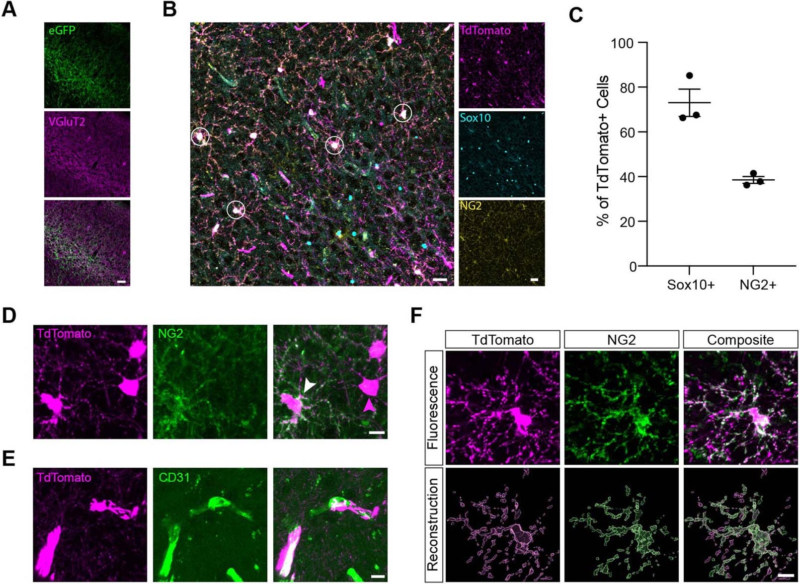 Extended Data Fig. 1