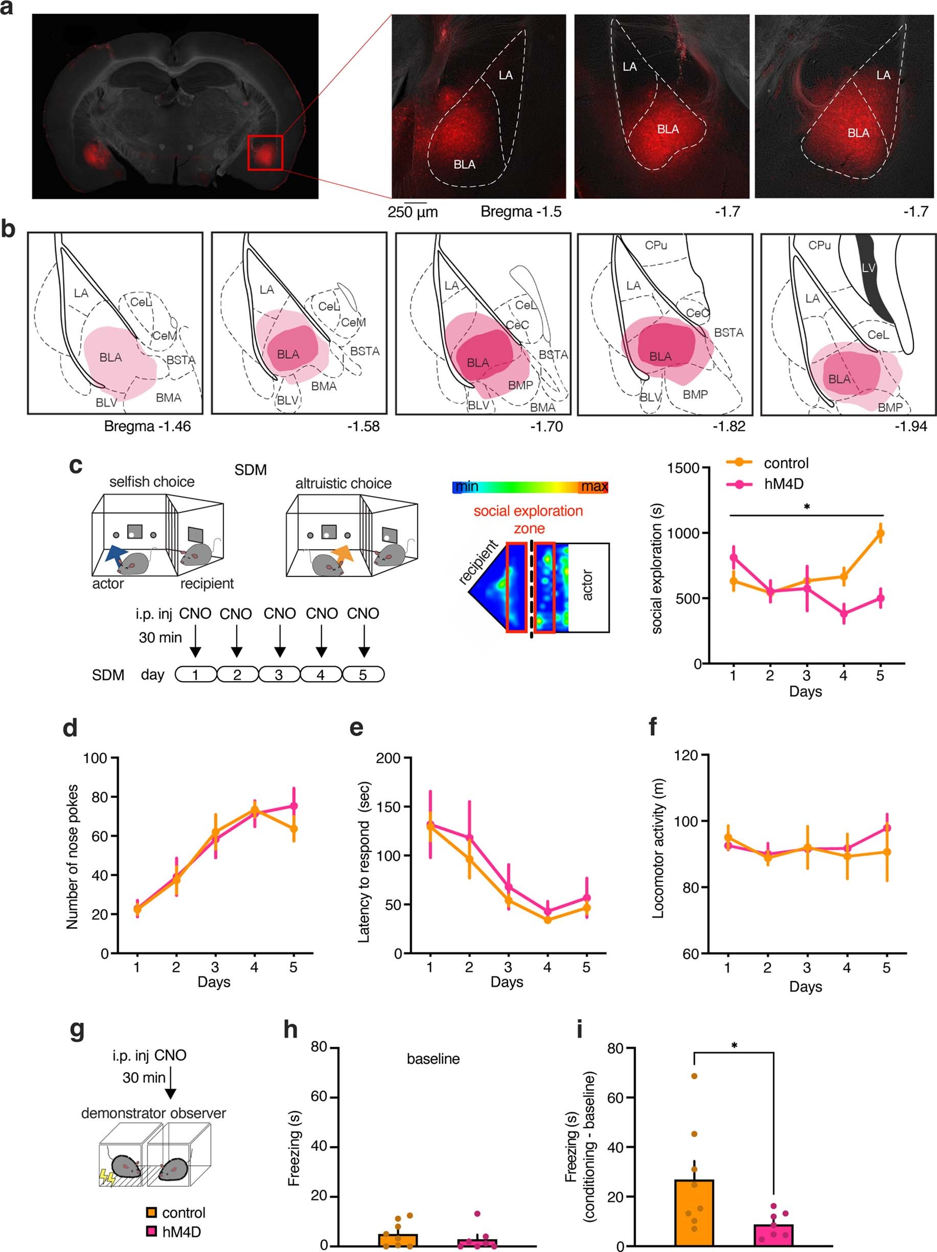 Extended Data Fig. 6