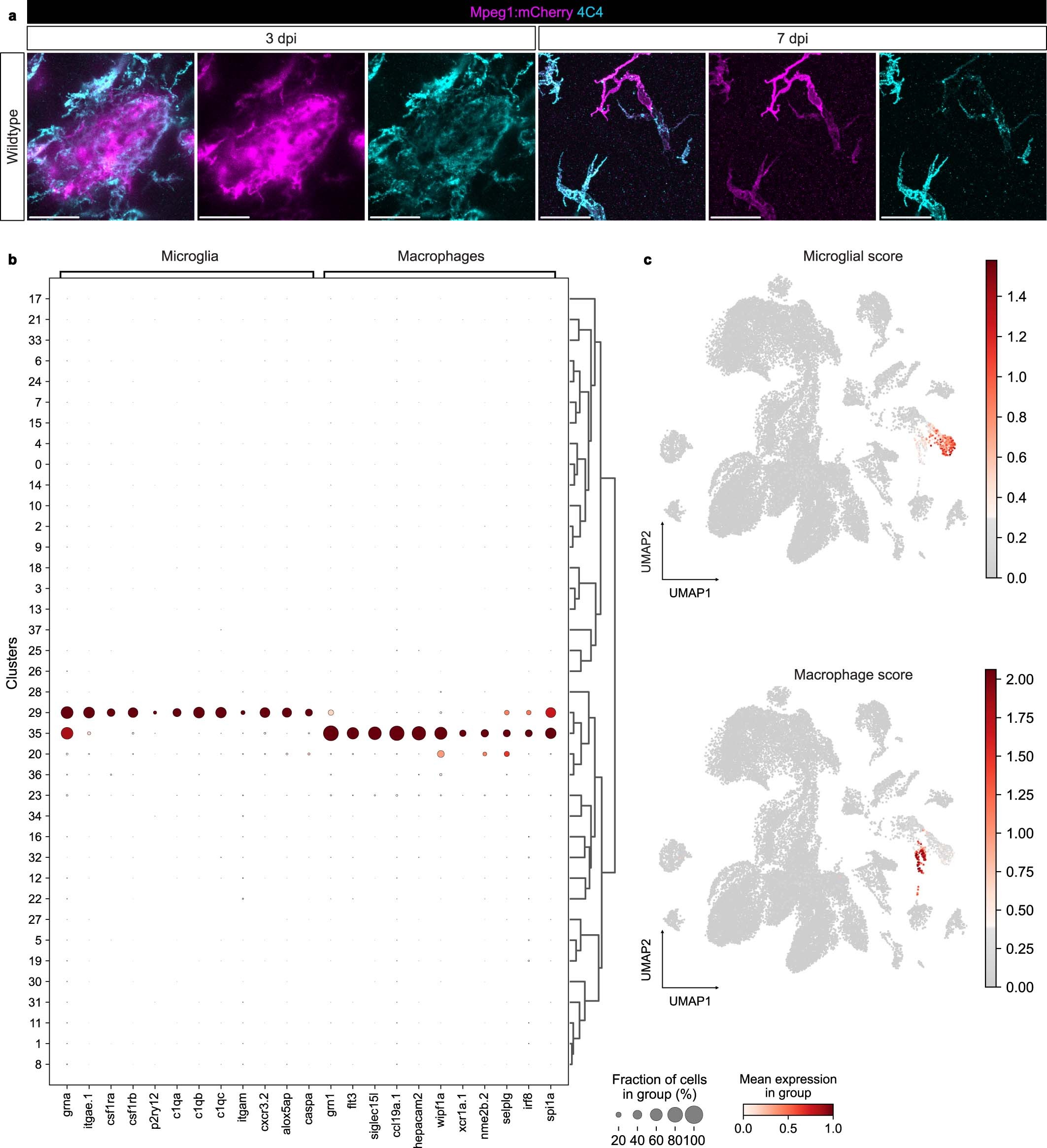 Extended Data Fig. 1