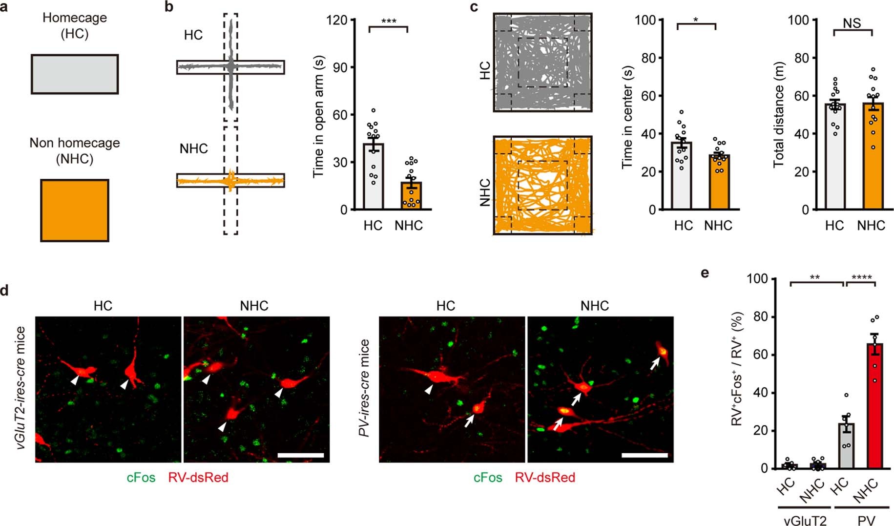 Extended Data Fig. 5