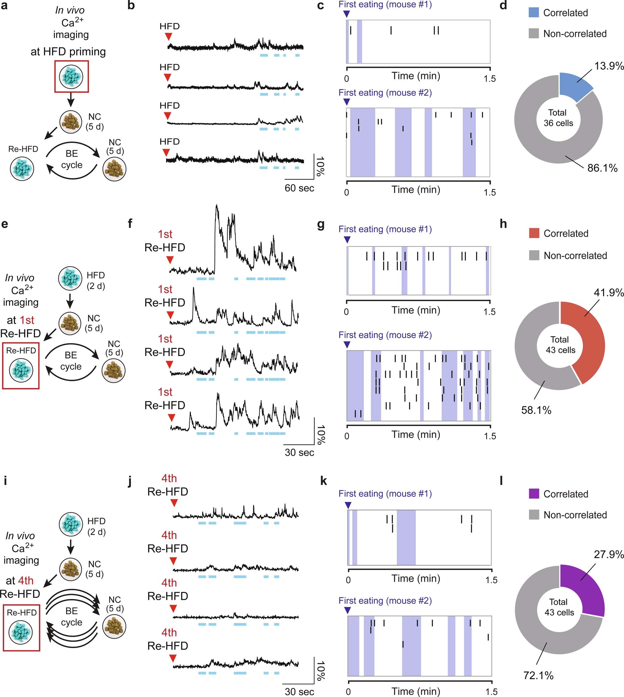 Extended Data Fig. 6: In vivo imaging of Ca2+ dynamics from LHLepr neurons at different HFD stages.