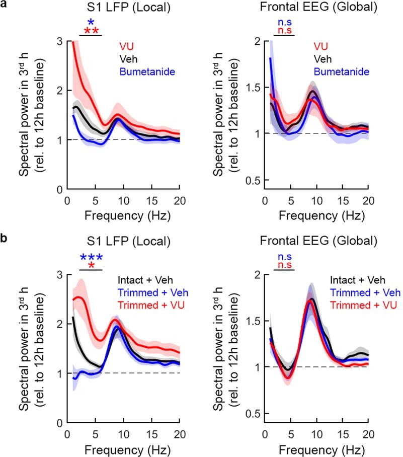 Extended Data Fig. 8: [Cl−]i regulation underlies local low-frequency cortical oscillations in the sleep-deprived awake state.